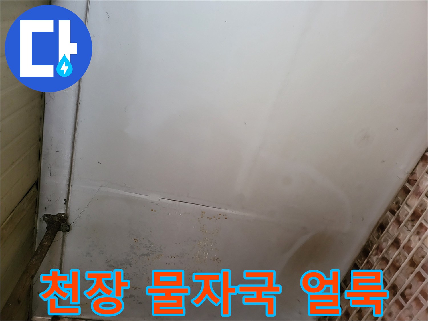 보령 남포면 현장의-천장 벽지 얼룩 및 곰팡이 상태
