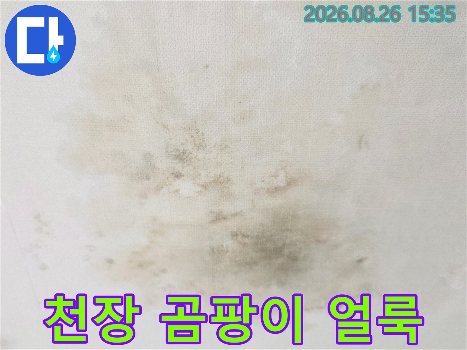 물샘 현상으로 인해 발생한 천장 벽지의 곰팡이와 습기 자국
