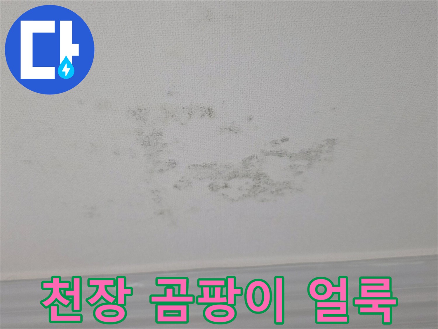 빌라 거실 천장에 발생한 검은색 곰팡이와 물 얼룩