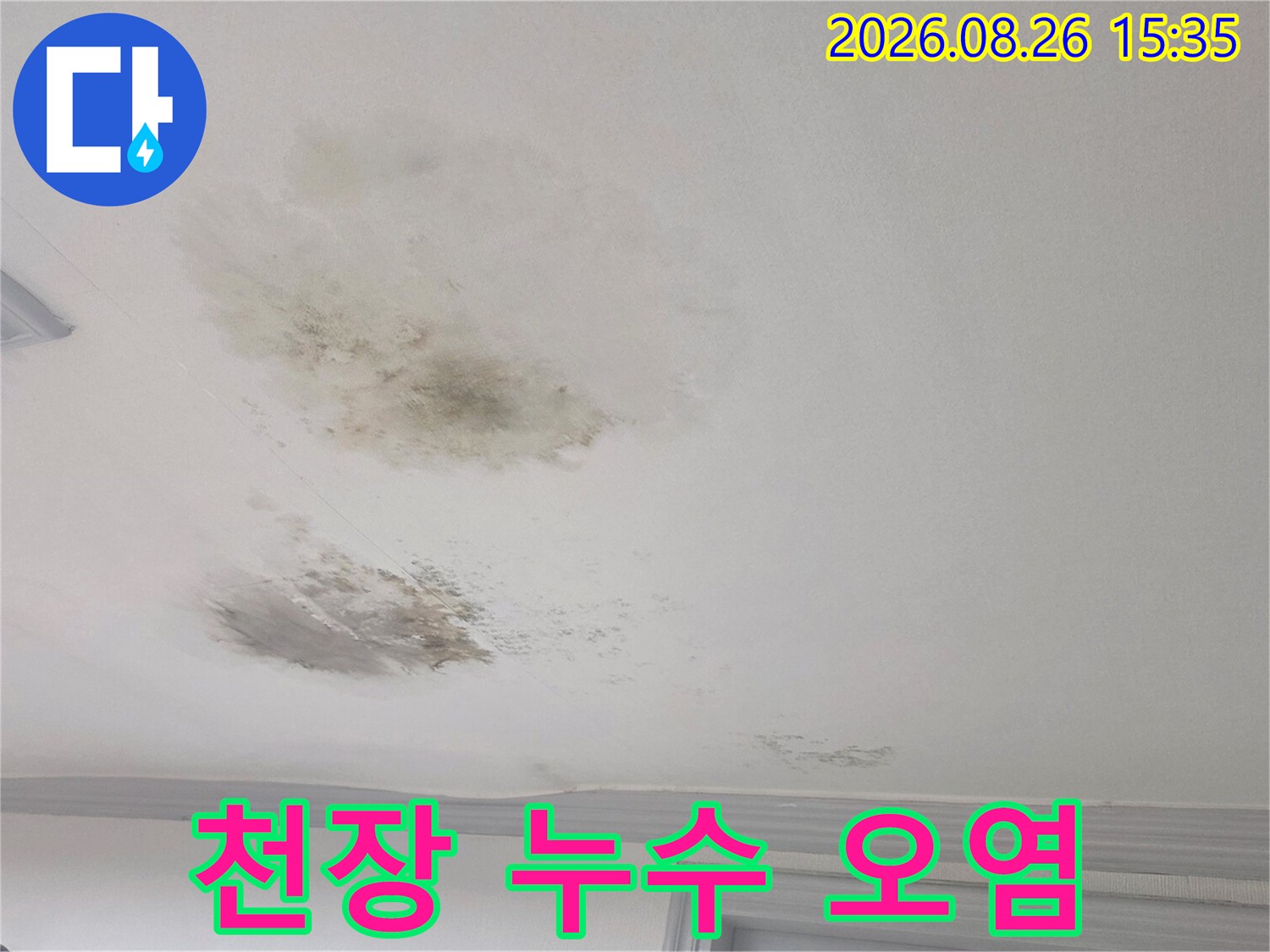 습기로 인해 변색되고 곰팡이가 발생한 천장 벽면