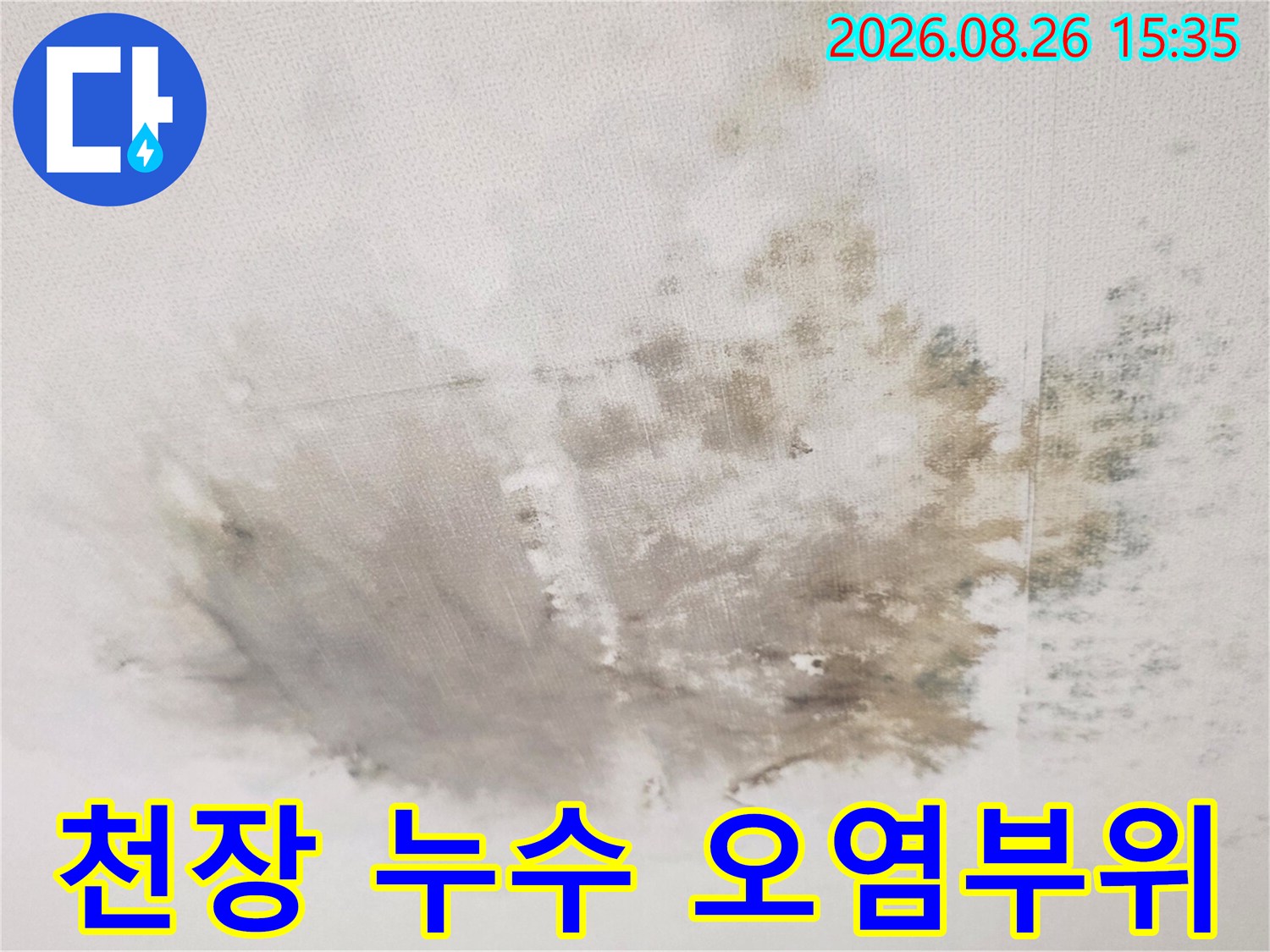심한 습기와 곰팡이로 얼룩진 아래층 거실 천장 상태
