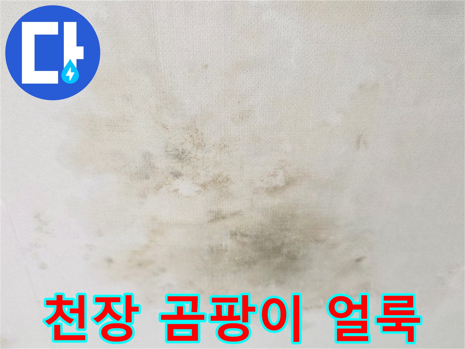 천장-벽지-표면에-번진-곰팡이와-누수-흔적