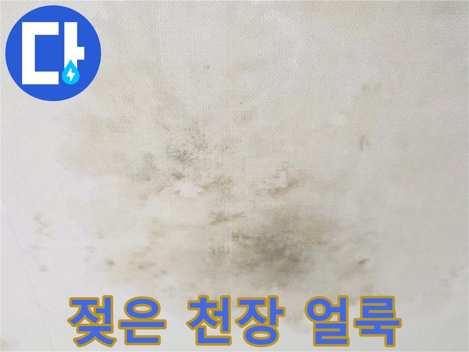 천장-중앙부의-넓고-진한-누수-및-곰팡이-흔적