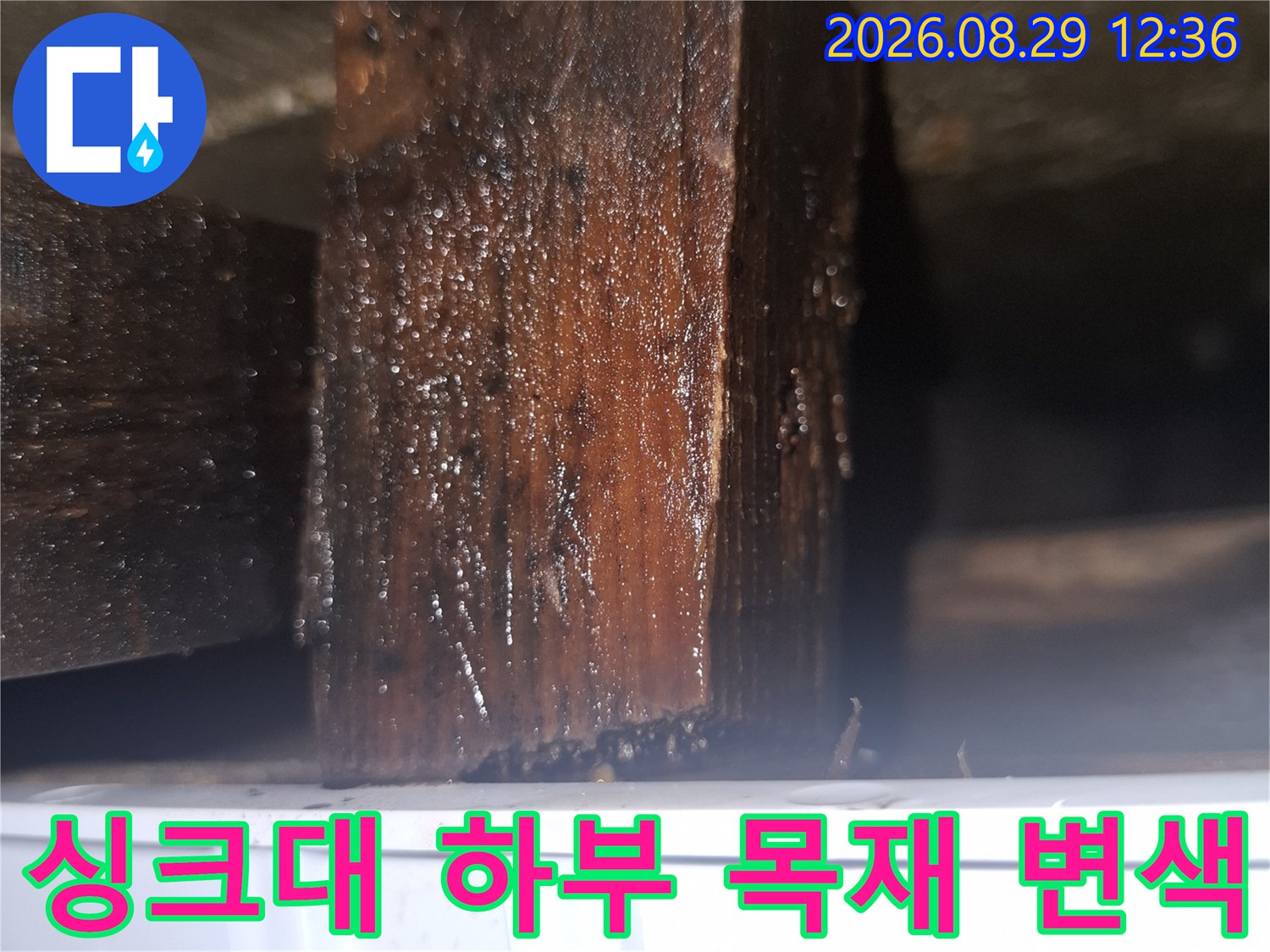 양천구 목동 현장 - 물기에 젖어 검게 변한 싱크대 하부 나무 지지대