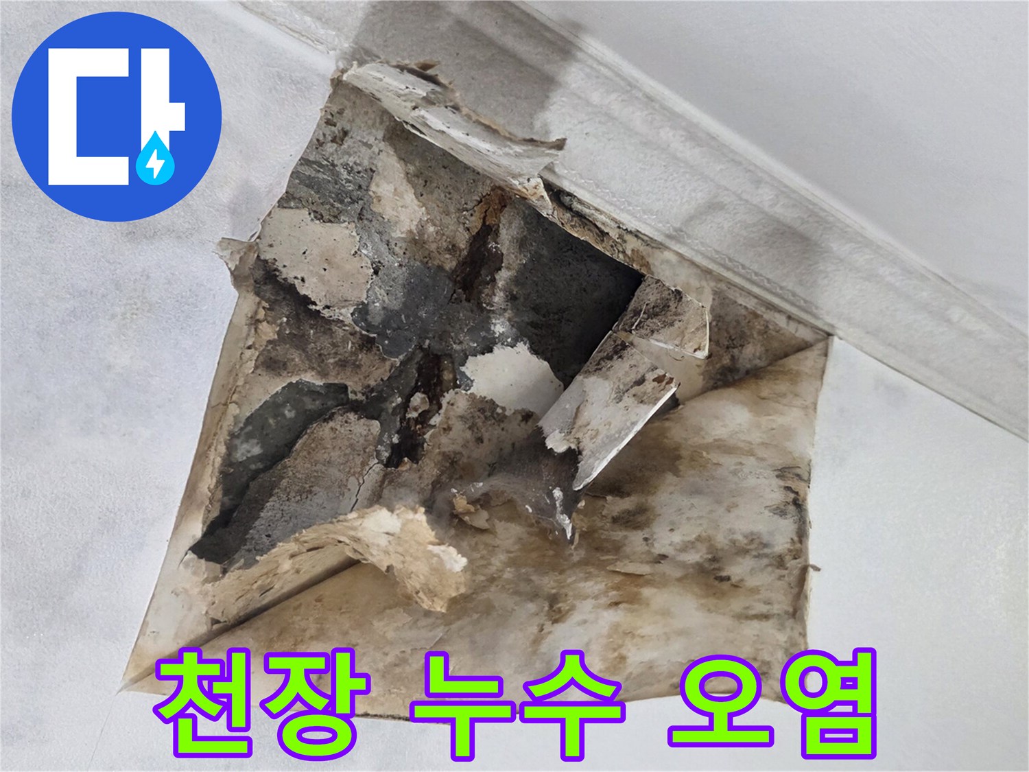 물이 새어 나와 발생한 천장 내부의 검은 얼룩