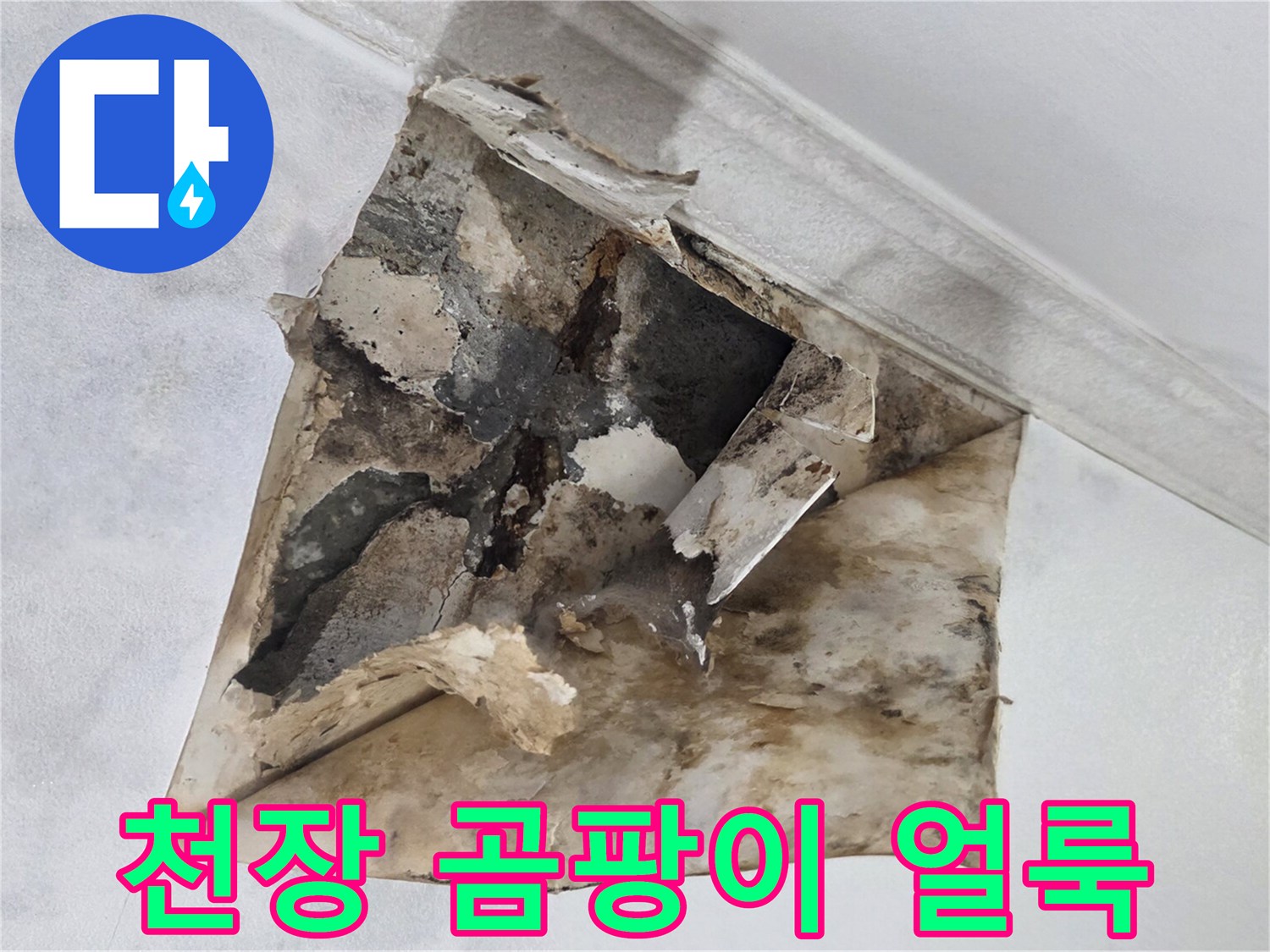 습기로 인해 변색된-천장 마감재와 곰팡이 흔적