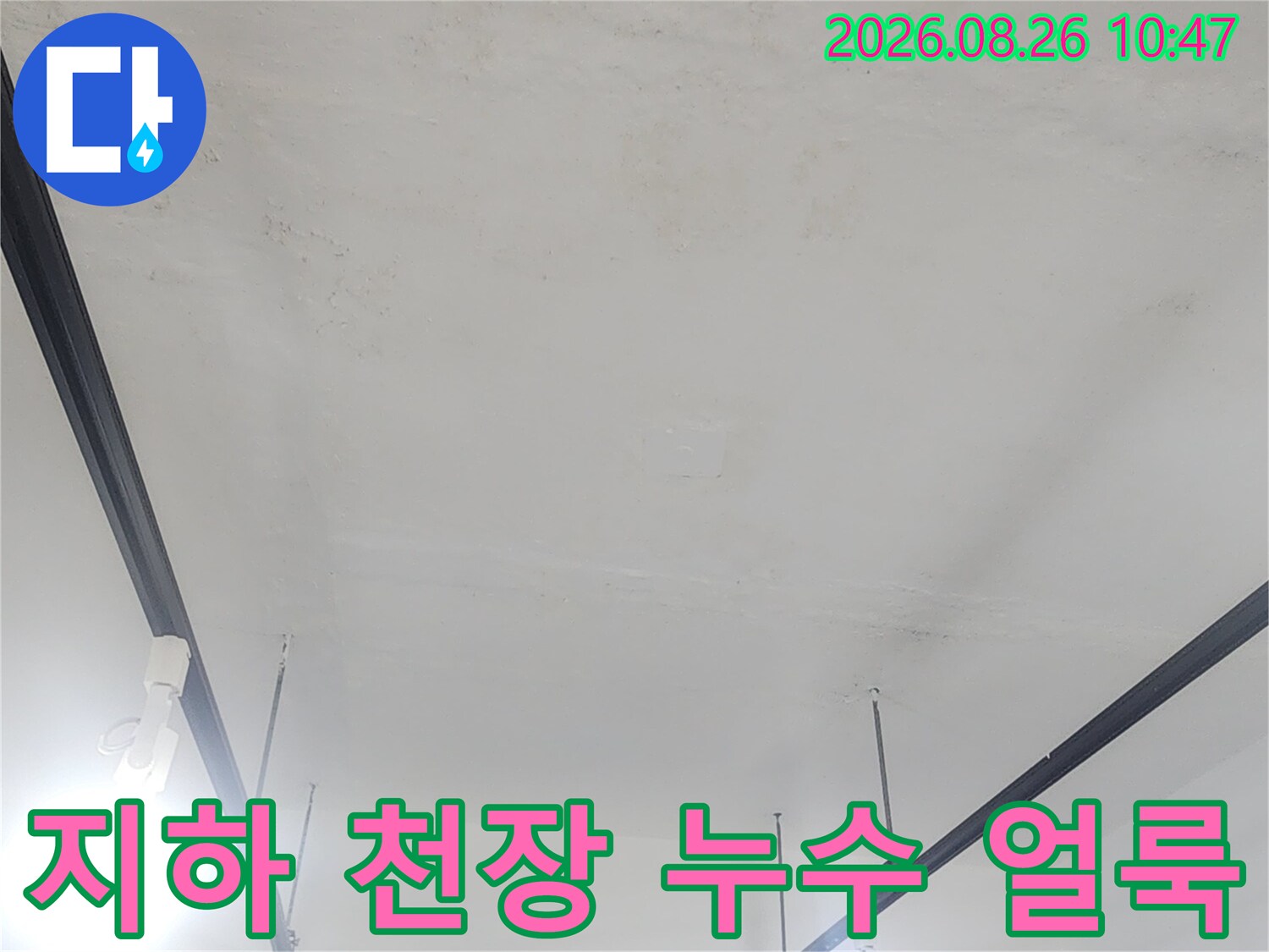 강북구 수유동 상가-지하 천장 누수 흔적 상세 사진