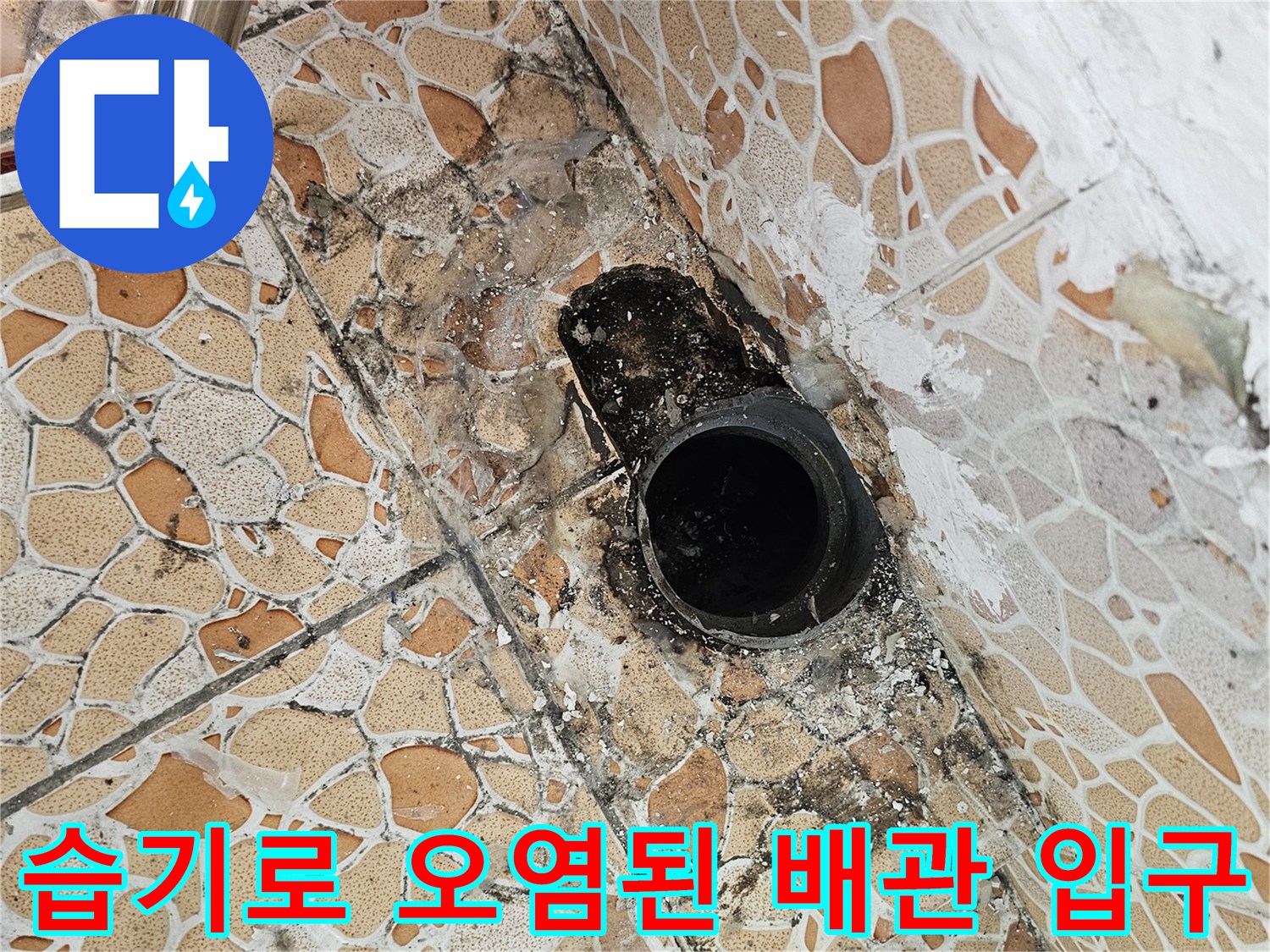 배관 주변의 습한 타일과 검은 곰팡이 흔적