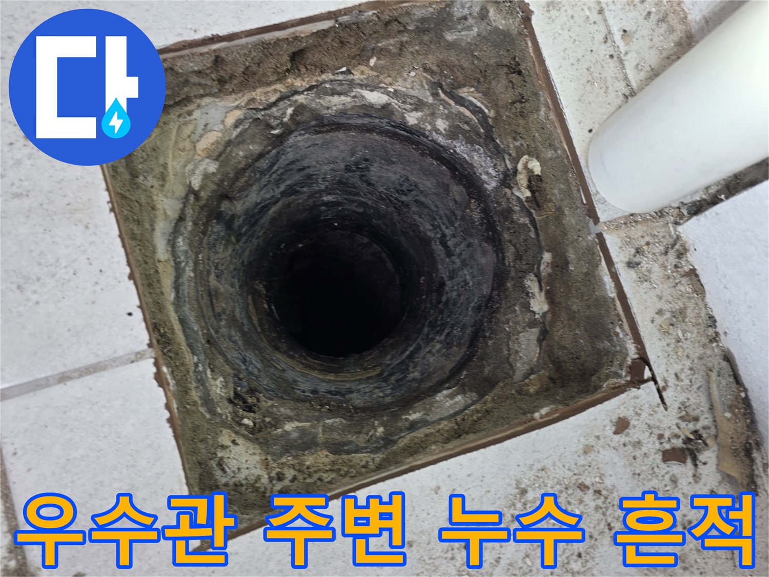 분당 수내동-우수관 주변의 젖은 타일과 오염된 배관 상태