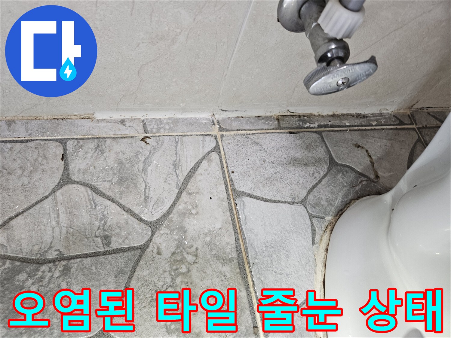 변기-옆쪽-타일-틈새의-검은색-곰팡이와-습기