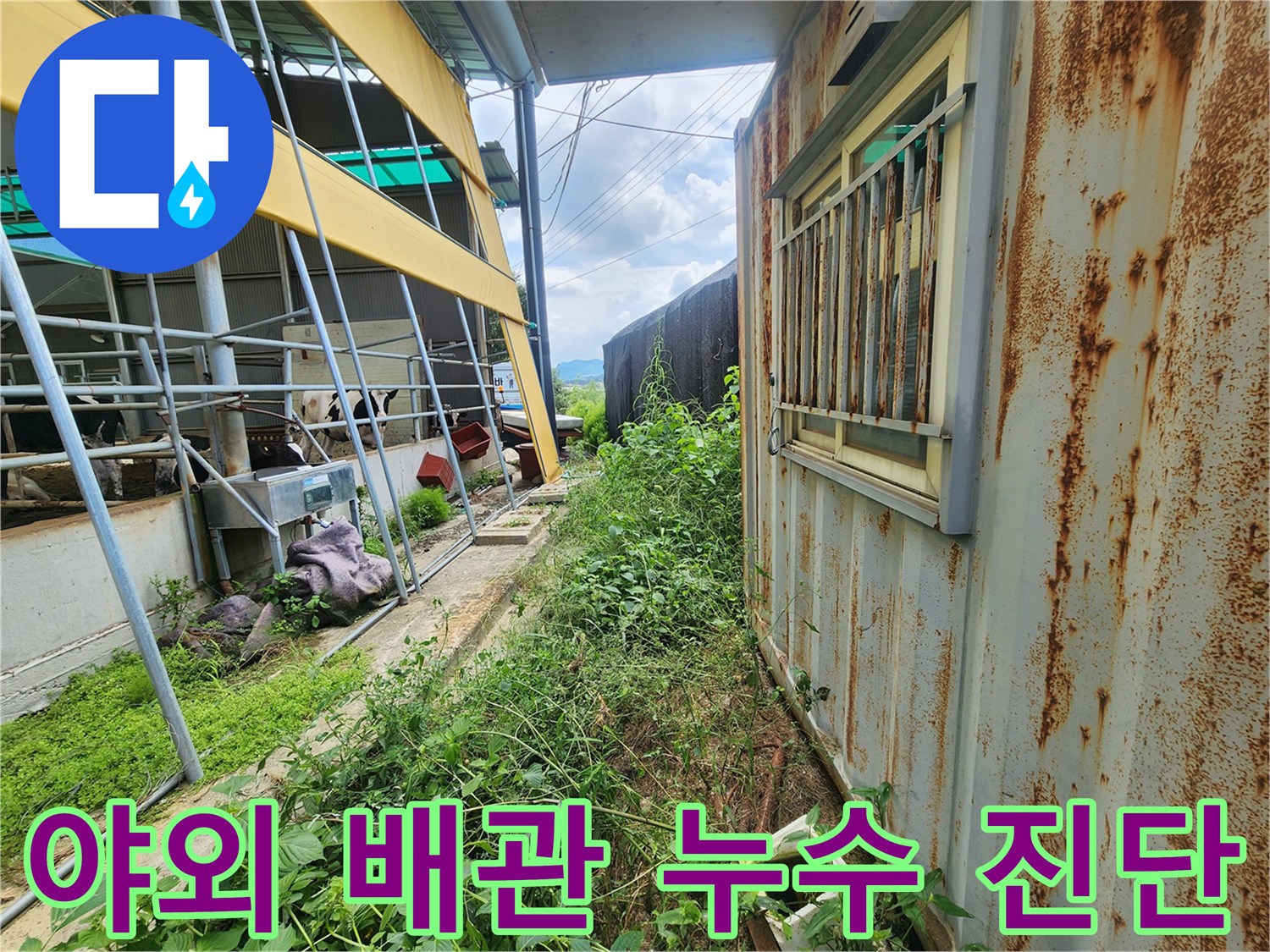컨테이너 사무실 인근 노후 배관의 미세한 물샘 현상을 찾기 위한 정밀 탐지 작업입니다.