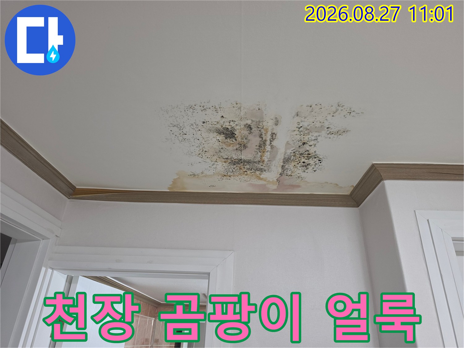 금산읍 아파트 천장에 발생한 짙은 곰팡이와 물자국 현상