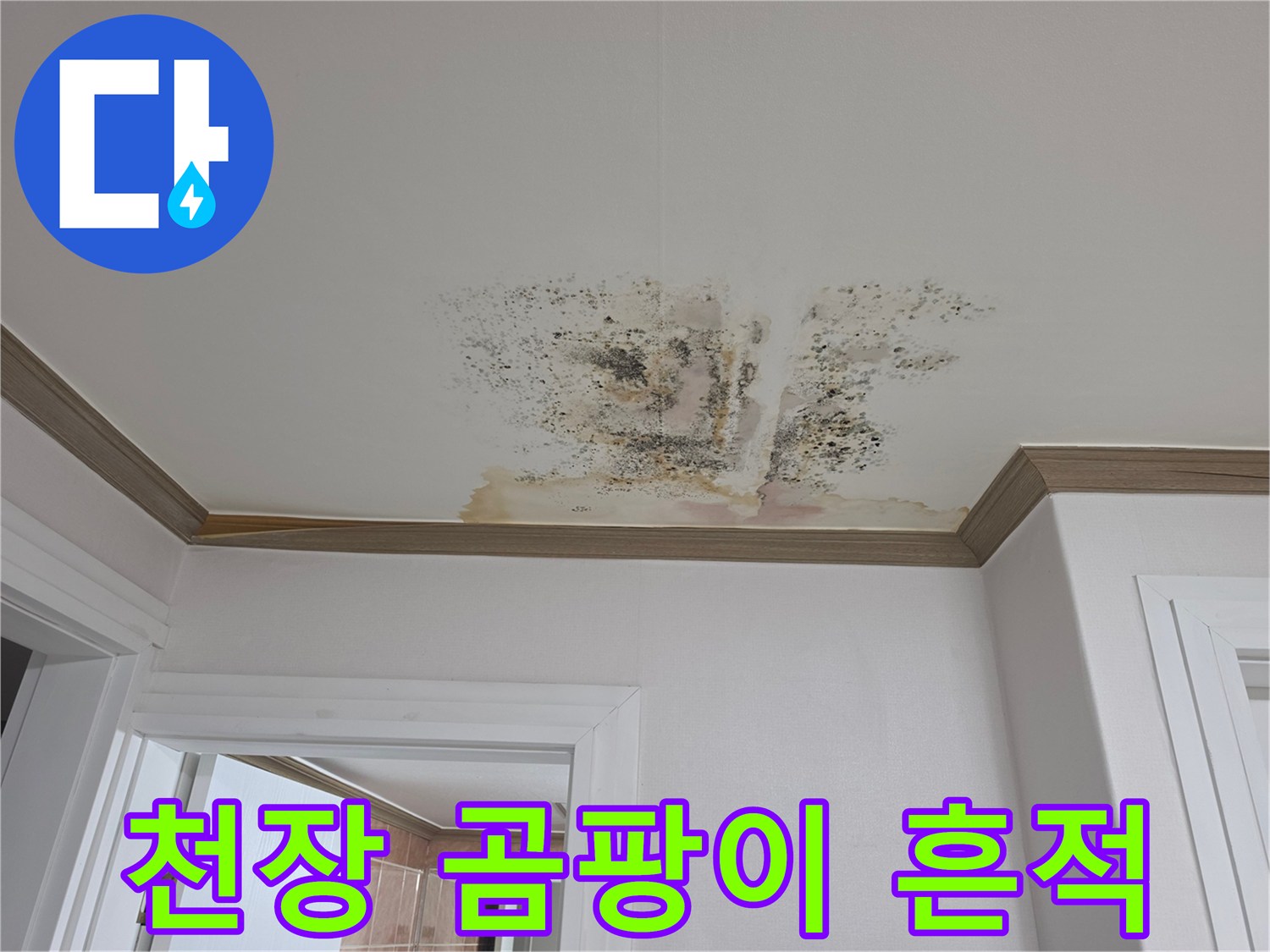 물샘으로 인해 넓게 오염된 천장 도배지의 모습