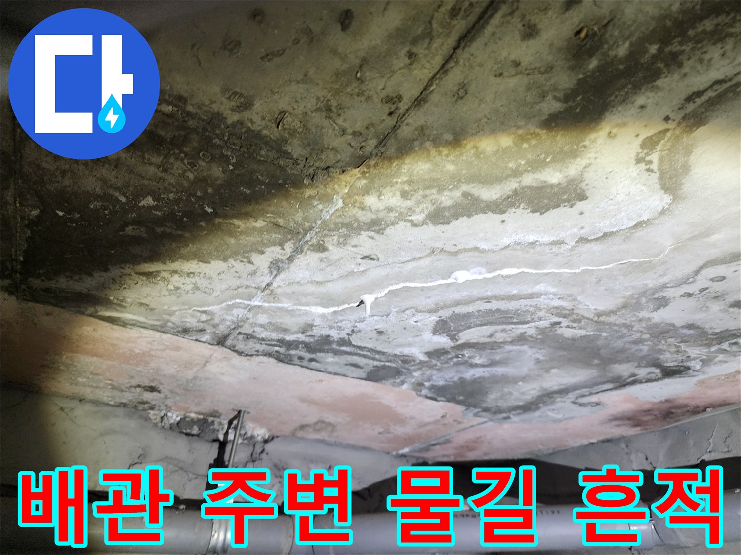 용인 수지 아파트-천장 배관 주변의 백화 현상 및 습기