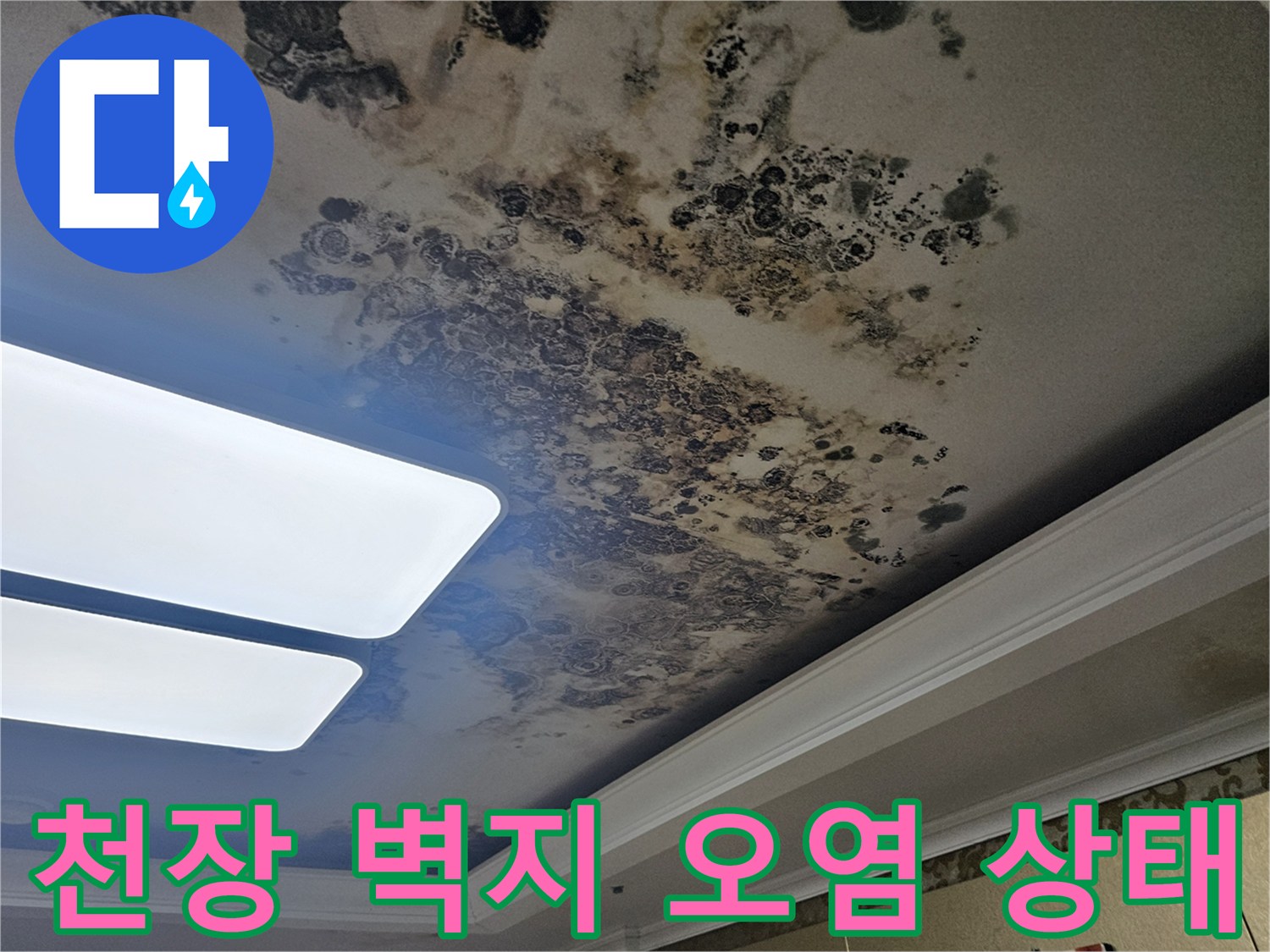 심하게 변색된 아파트 거실 천장의 곰팡이 침투 모습
