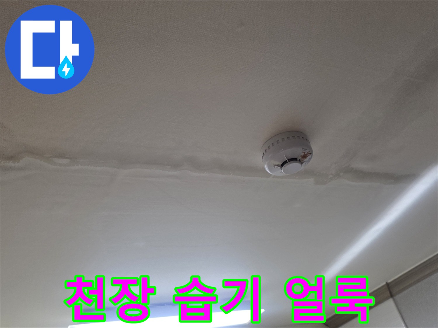 천장 마감재 부근의 젖은 얼룩과 변색된 부분