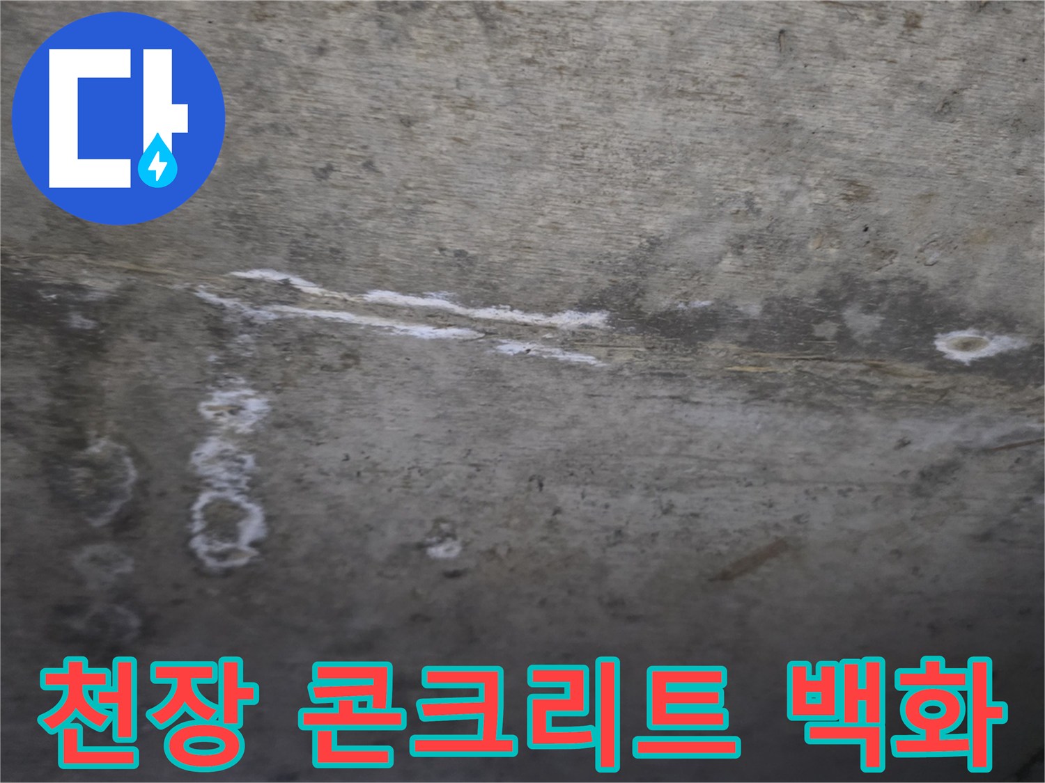 콘크리트 표면에 발생한 하얀색 백화 현상과 습기 자국