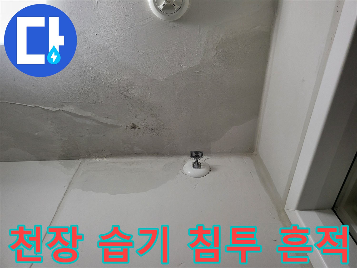 넓게 퍼진 천장 변색과 균열 상태 이미지