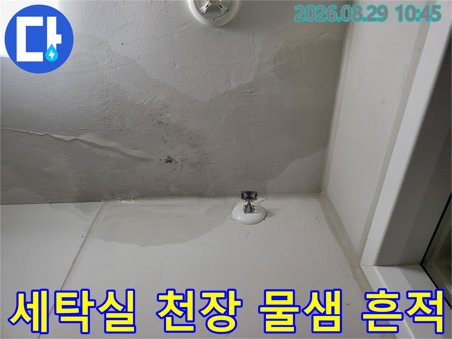동탄 세탁실-천장과 벽면 경계의 누수 변색 구간