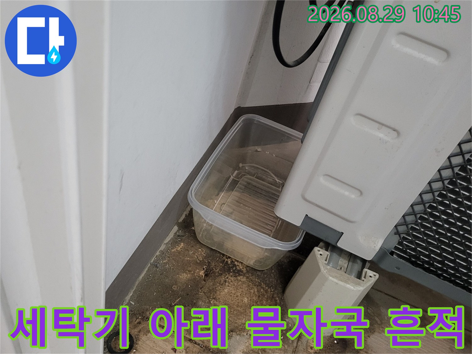 세탁기 배수 호스 밑에 형성된 습기 및 오염된 타일