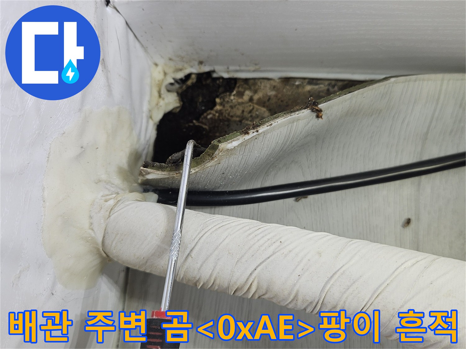 벽면을-절개하여-확인한-축축한-배관-주변-모습