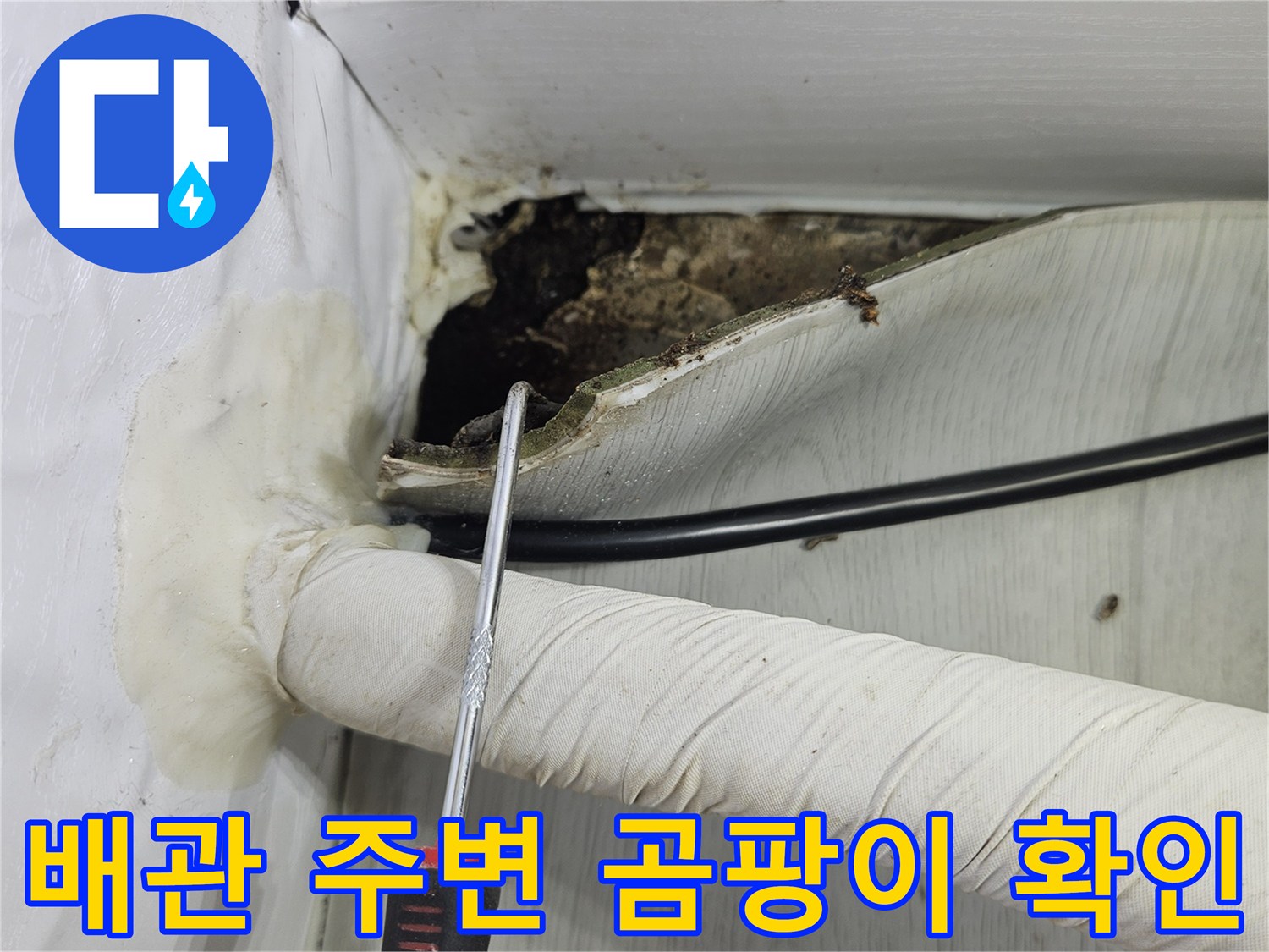 습기로-오염된-배관-주변의-벽면-절개-현장