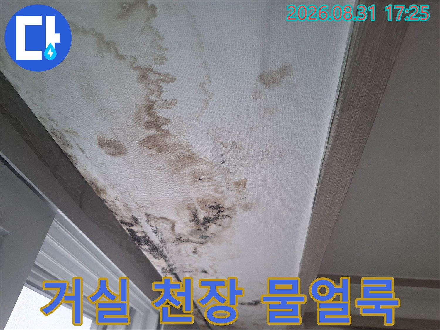 마포구 아현동 거실 천장 벽면에 발생한 넓은 범위의 물 얼룩과 곰양 흔적