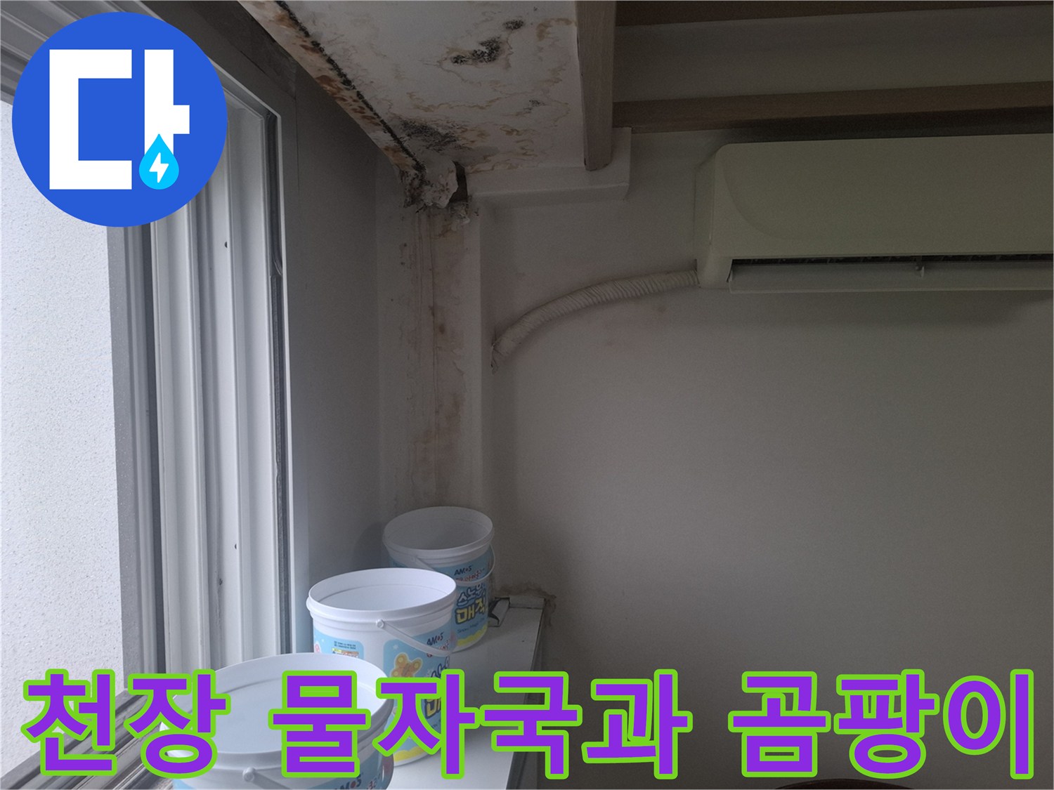 아파트-거실-창가-천장-및-벽면의-곰팡이-상태