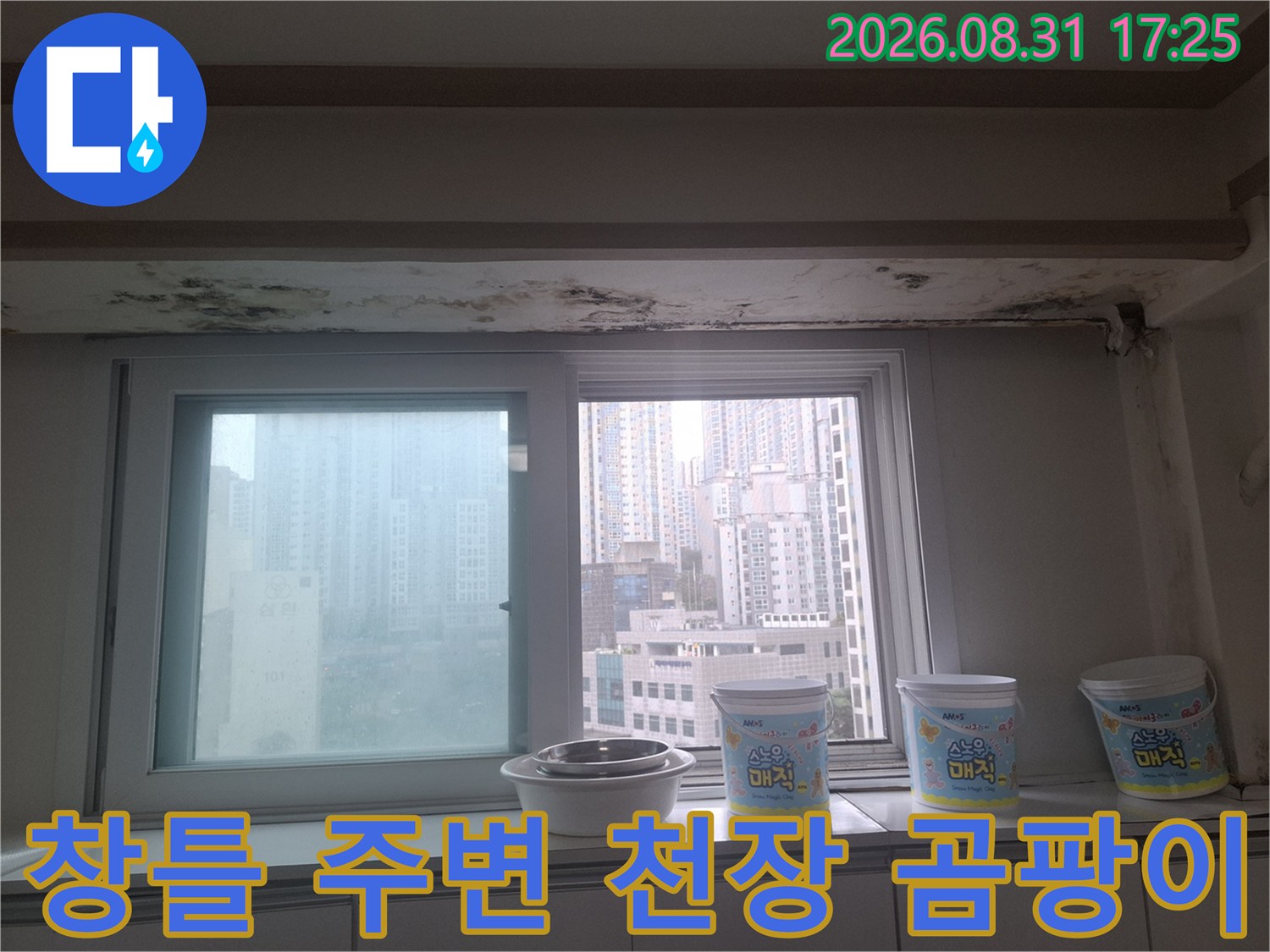 아파트 창문 상단 마감재 부분에 나타난 심한 곰팡이와 습기 흔적
