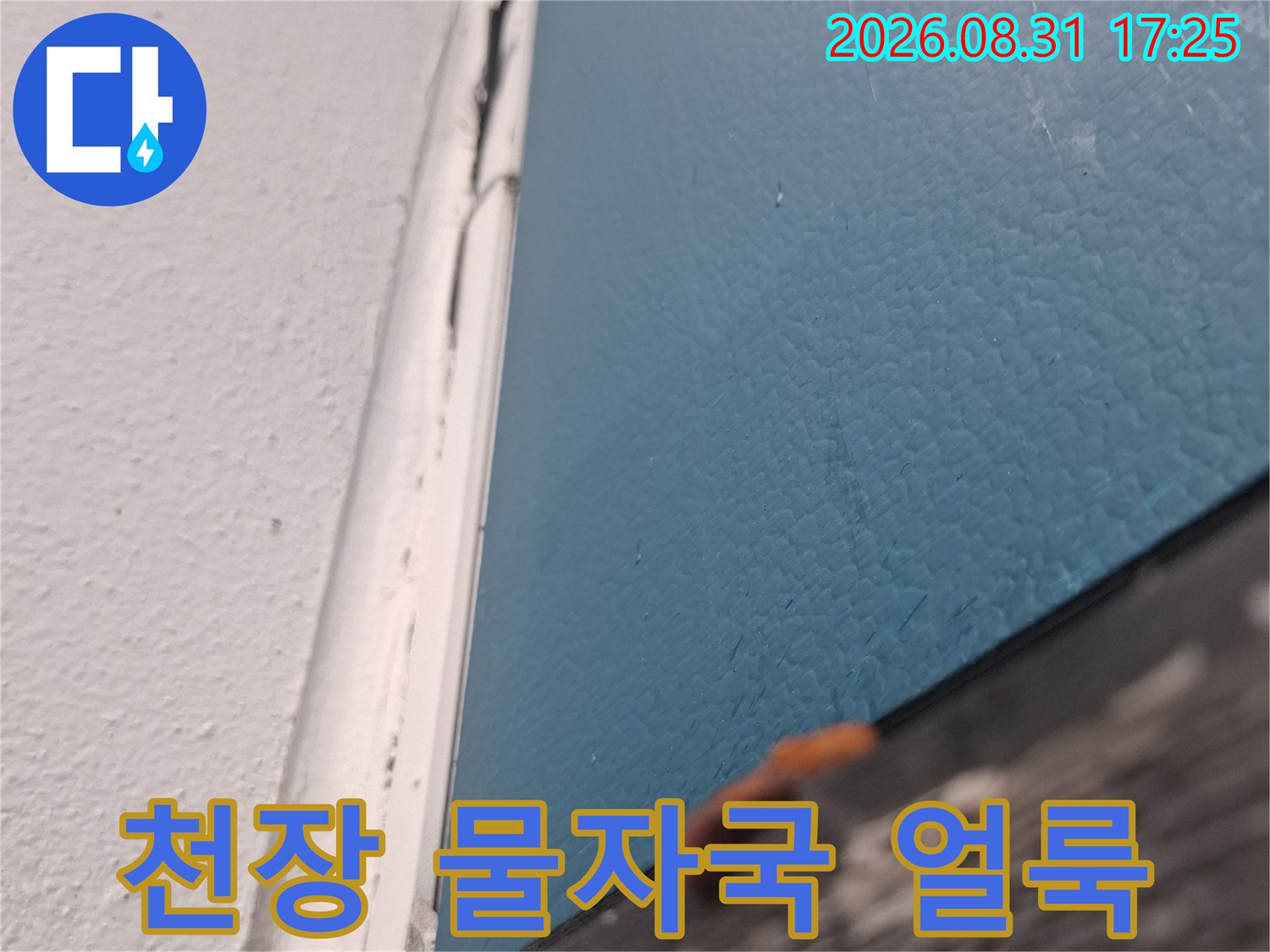 아현동 현장-천장 부분에 발생한 푸른빛의 물 얼룩과 습기 상태