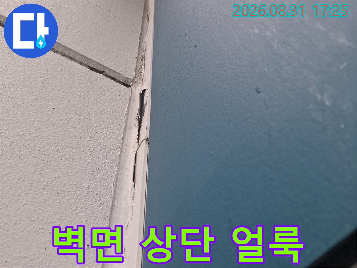 천장 하단부의 젖은 흔적과 도배지 변색 부위