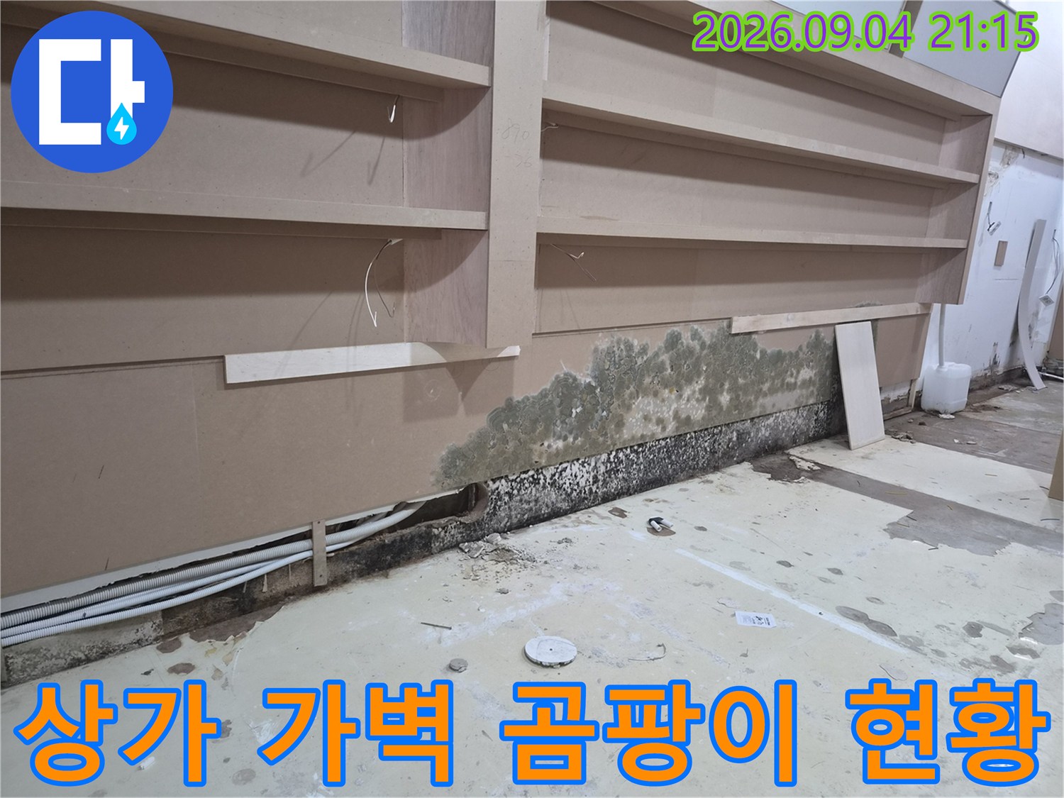 화성 동탄 상가 가벽 하단부에 발생한 곰팡이와 습기 상태