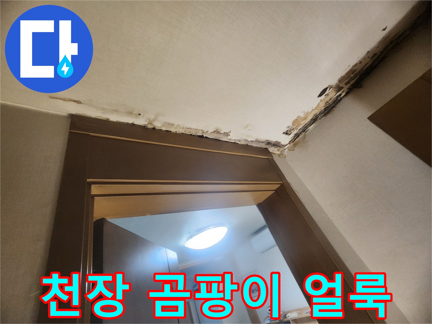성내동 현장-아랫집 천장 벽지 곰팡이 및 누수 흔적