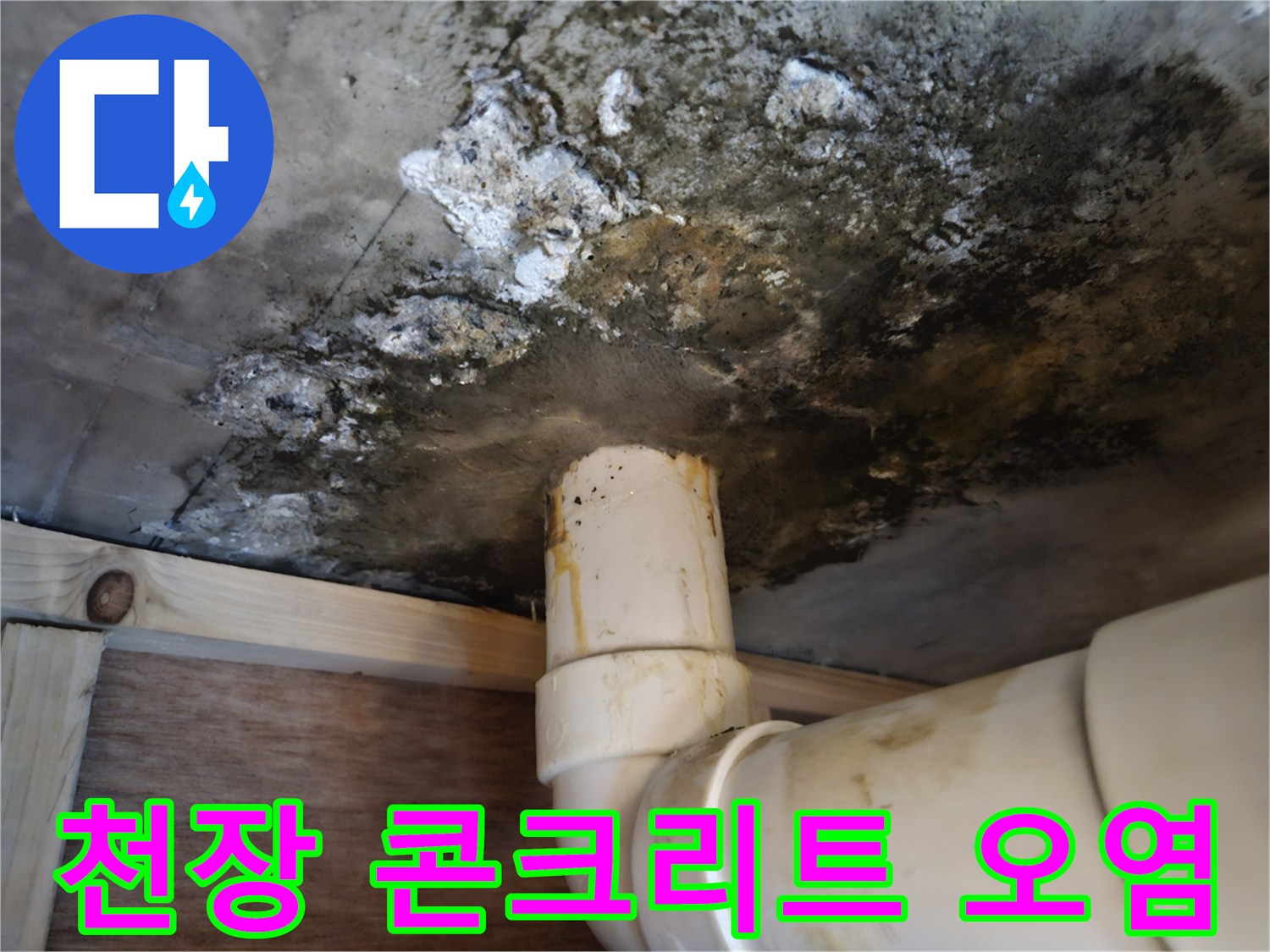 곰팡이가-발생한-천장-콘크리트-및-배관-연결부