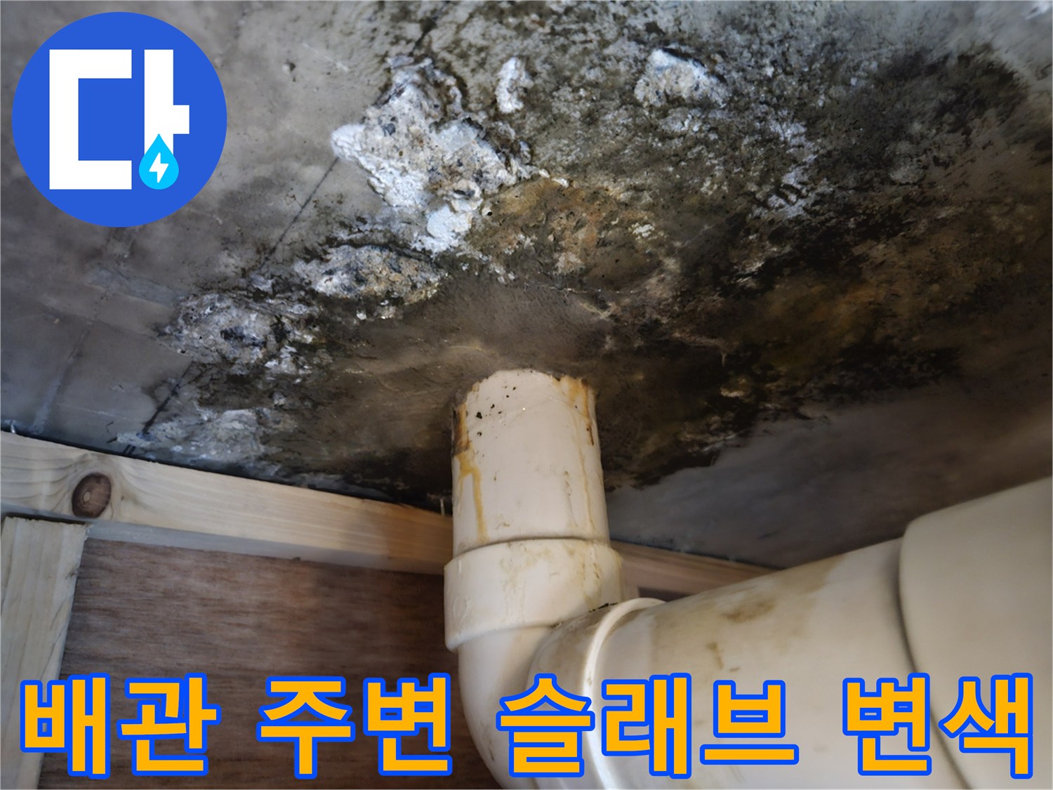 배수관-주변의-검은색-곰팡이와-슬래브-오염