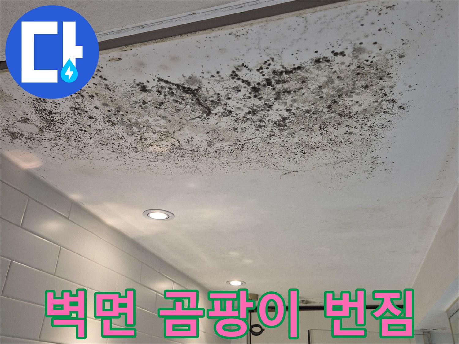 하얀 천장에 넓게 퍼진 검은색 곰팡이 자국