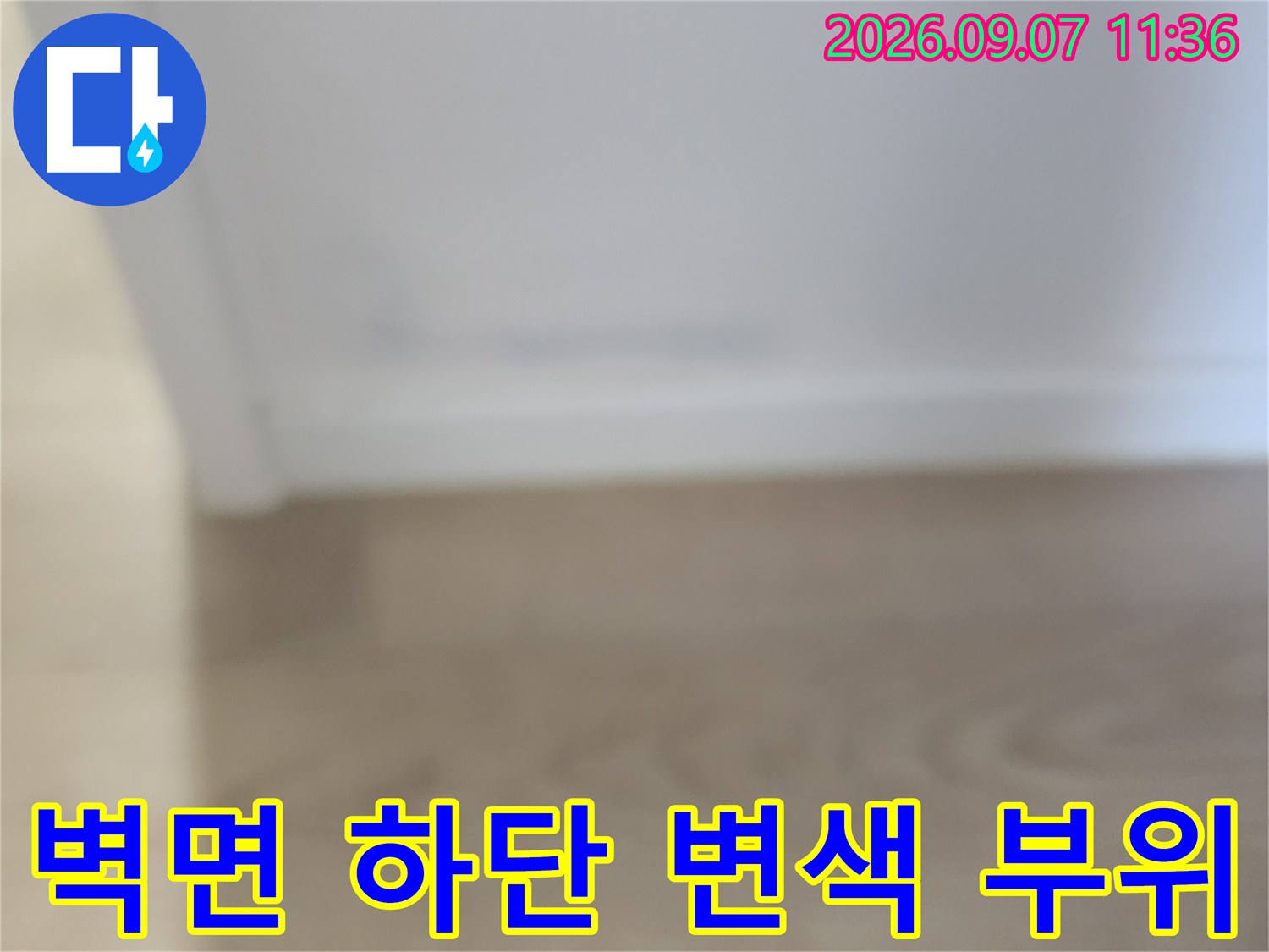 화장실 인근 벽면-하단부의 변색된 상태를 정밀하게 관찰하는 장면입니다.