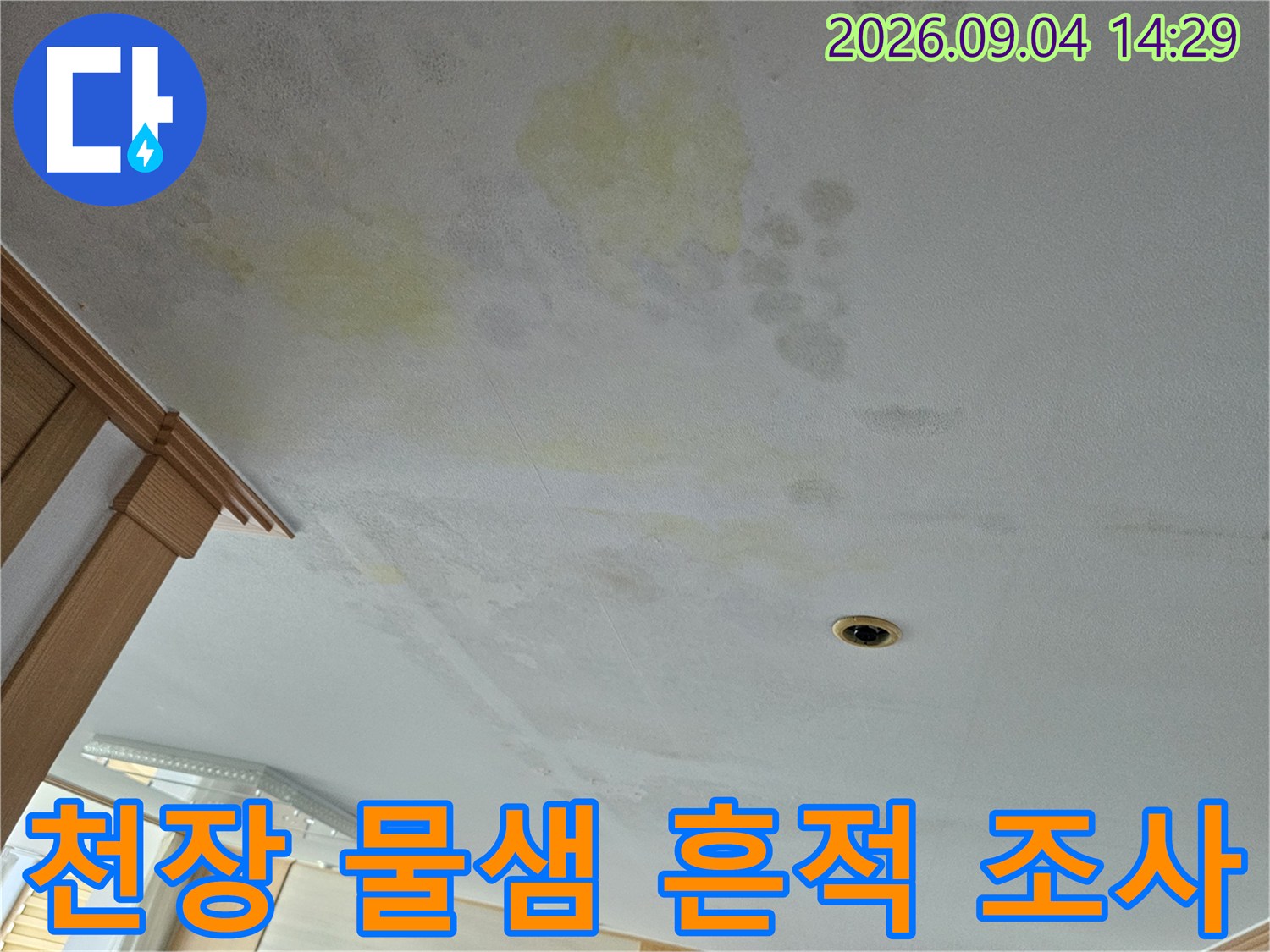 거실 천장 누수 오염 부위 - 넓게 퍼진 습기 및 변색 자국