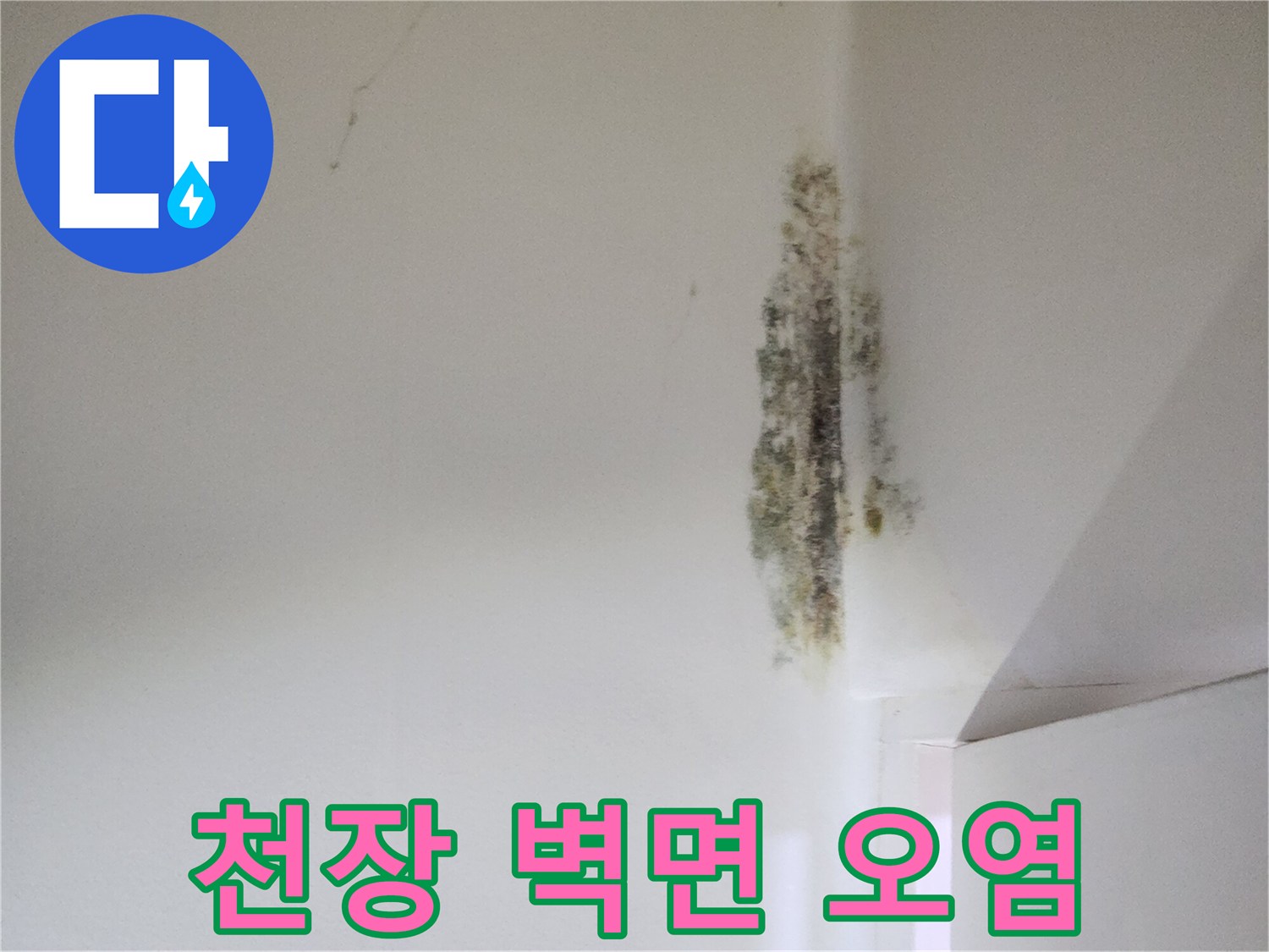 벽면-모서리-습기-및-곰팡이-부식