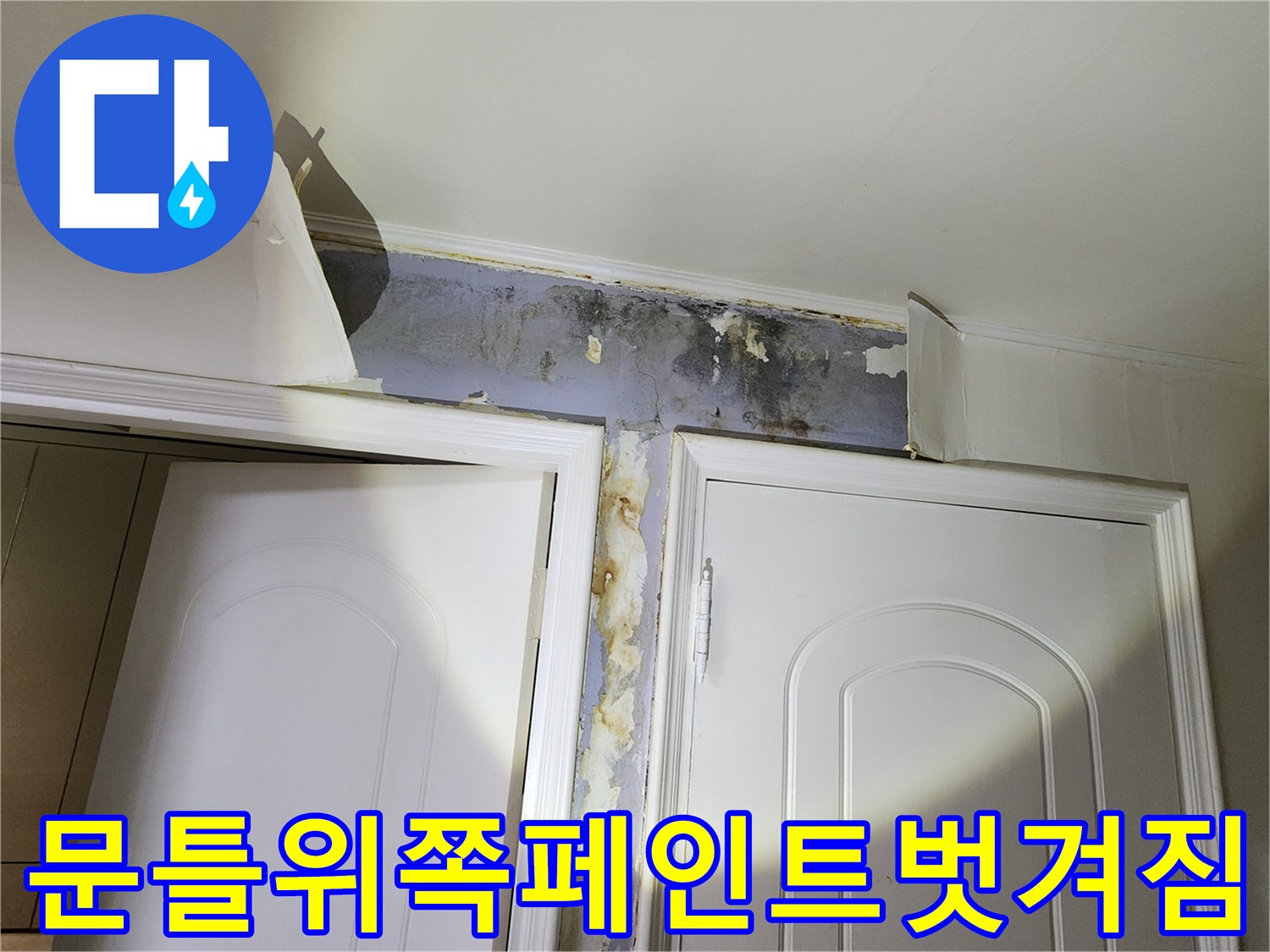 신사동-문틀-상부-곰팡이와-페인트-박리-현상