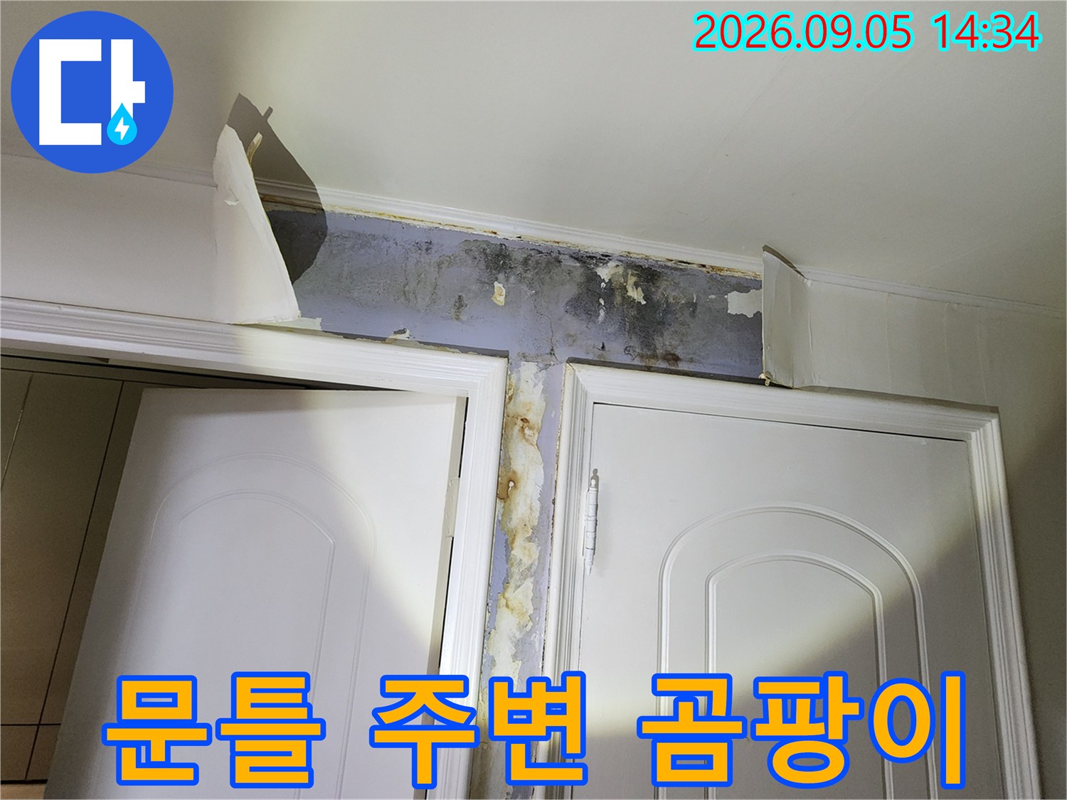 은평구 신사동 현장의 문틀 상단 벽지 곰팡이와 들뜸 현상