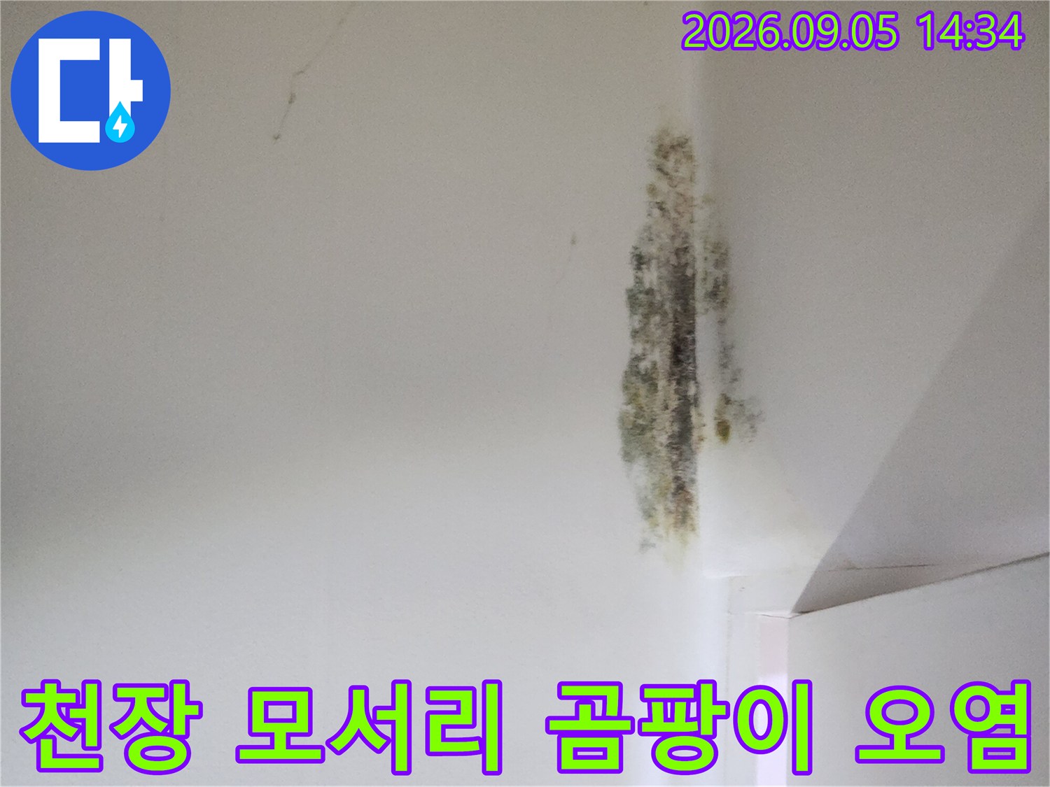 천장과 벽면 경계 부위의 심한 곰팡이와 누수 흔적 사진