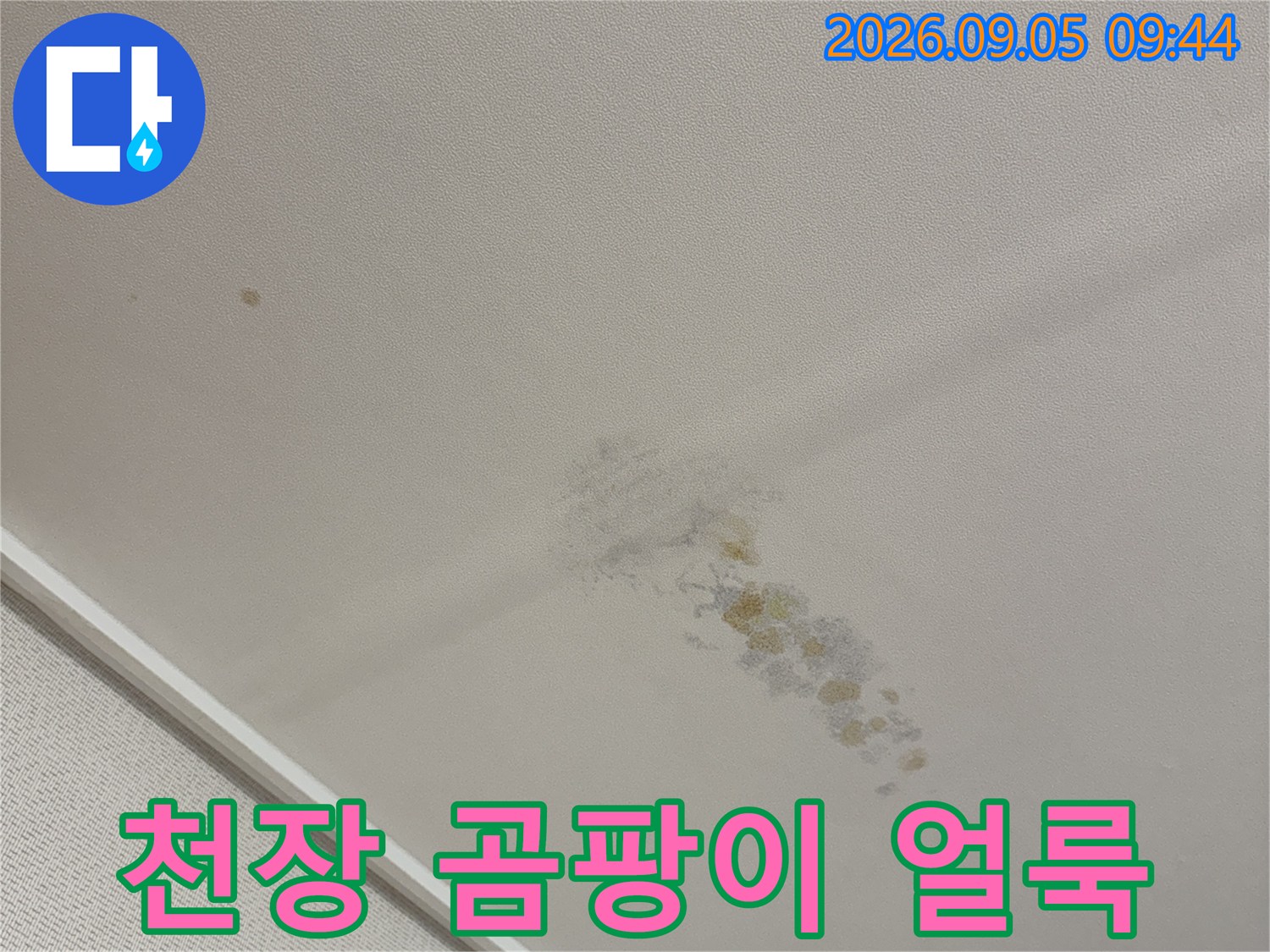 용인 수지구 동형동 아파트 천장에 발생한 곰팡이와 누수 흔적