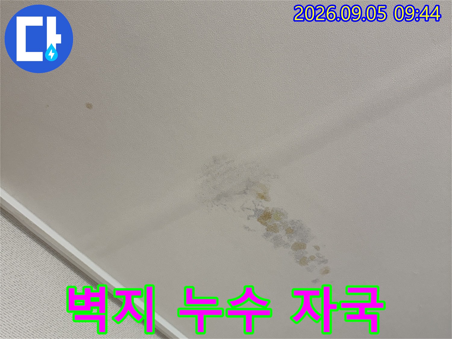 천장 벽면의 갈색 물자국과 곰팡이 발생 부위 상세 사진