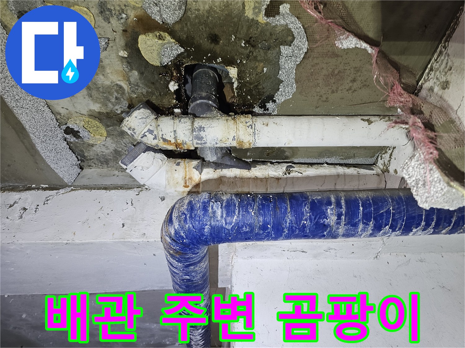 습기로-인해-부식된-천장-마감재와-배관의-모습