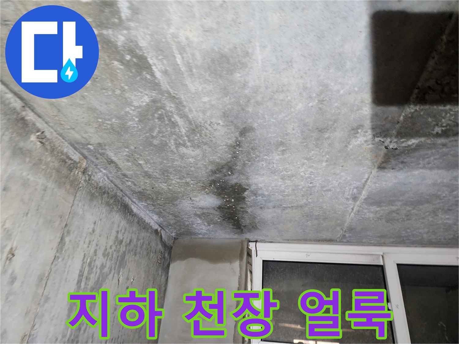 물샘 현상이 나타난 지하층 천장의 콘크리트 표면