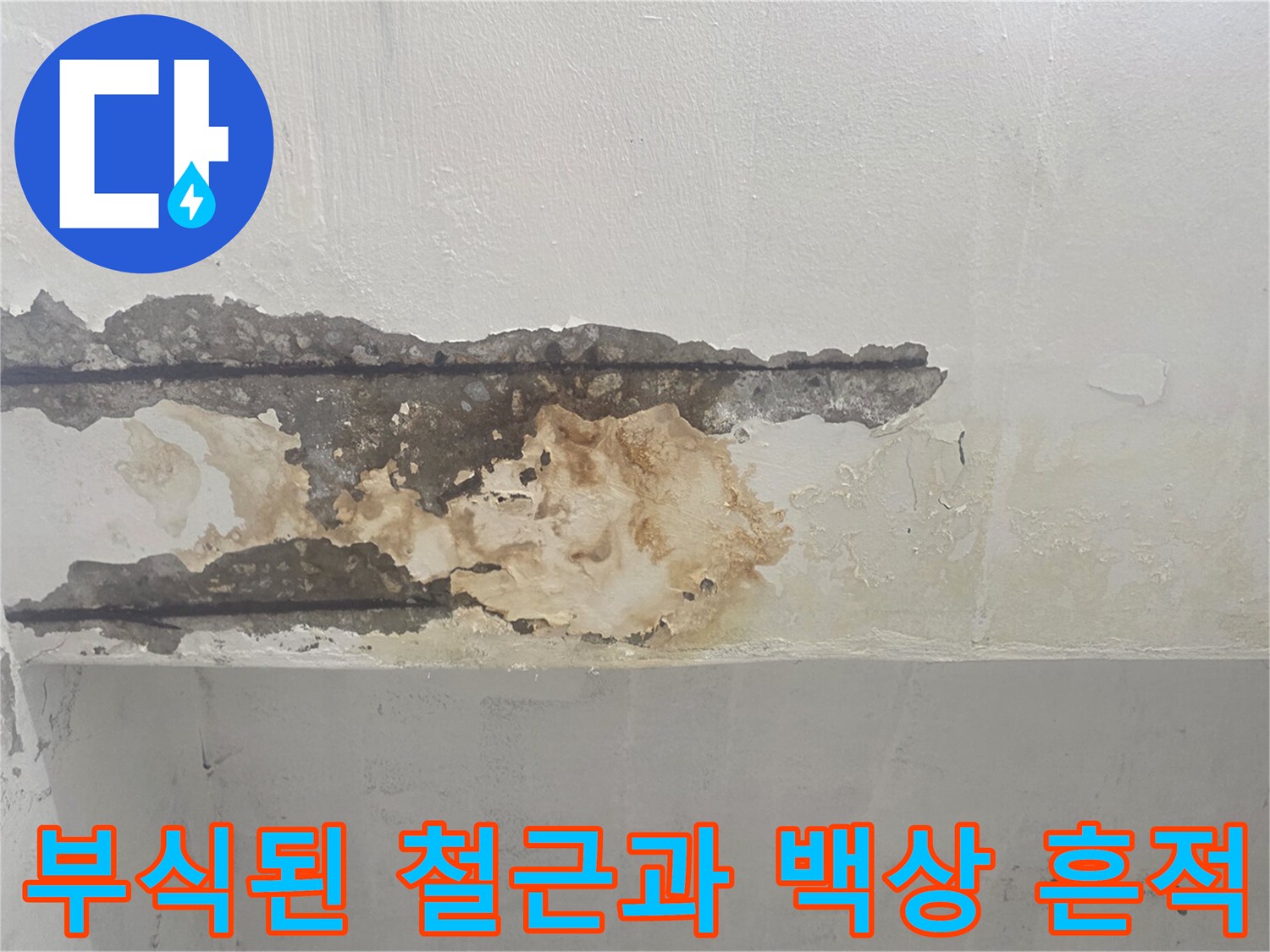 콘크리트 내부-부식된 철근이 드러난 천장 모습