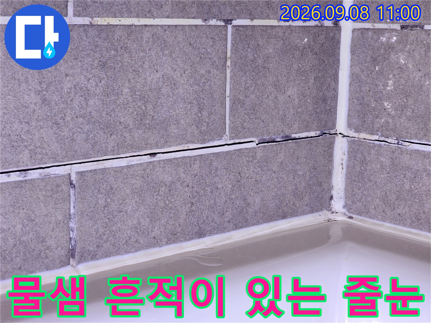 누수 징후가 보이는 욕실 타일 줄눈의 모습입니다.