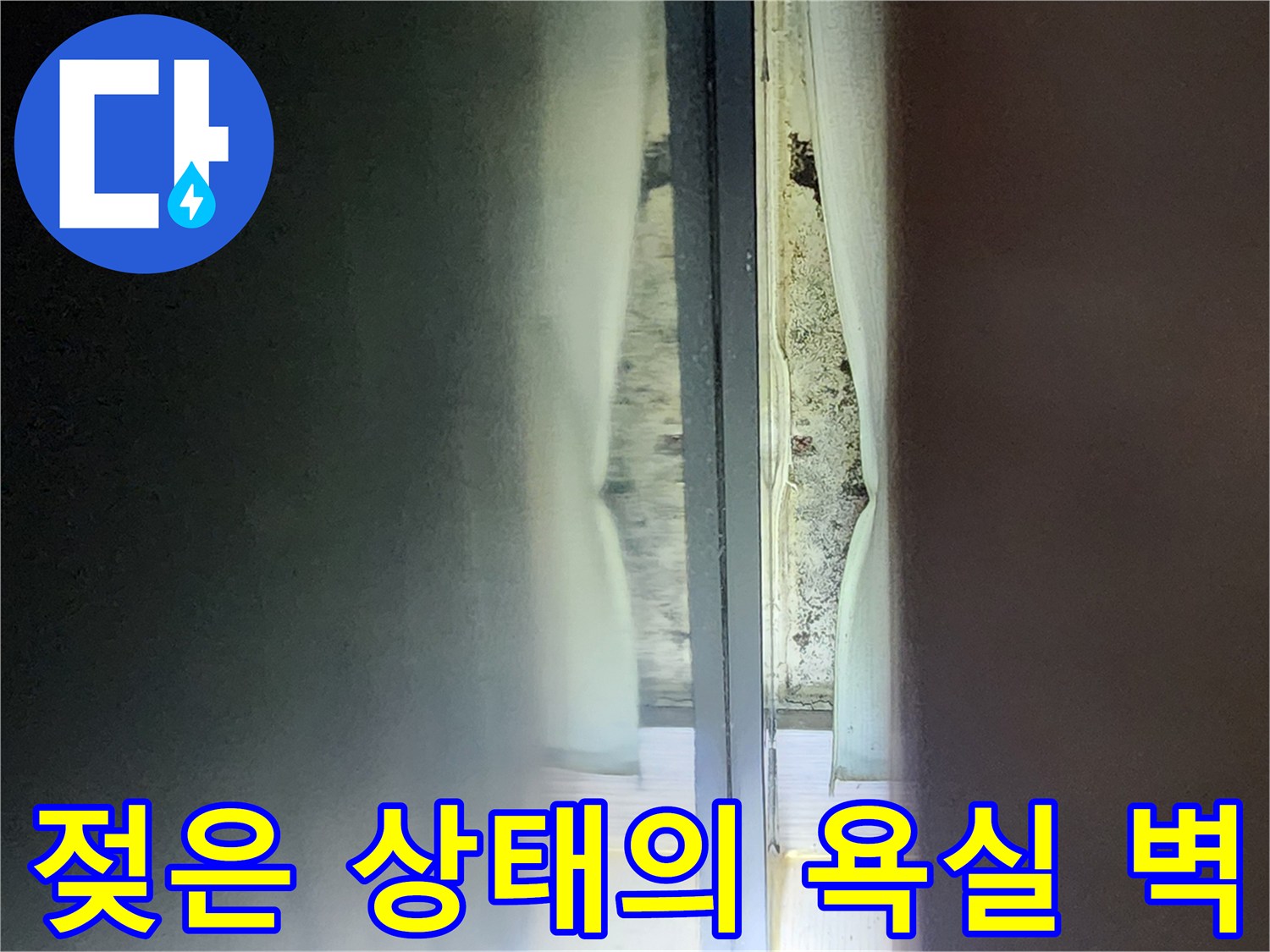 습기가 침투하여 젖어 있는 샤워 부스 내부 타일