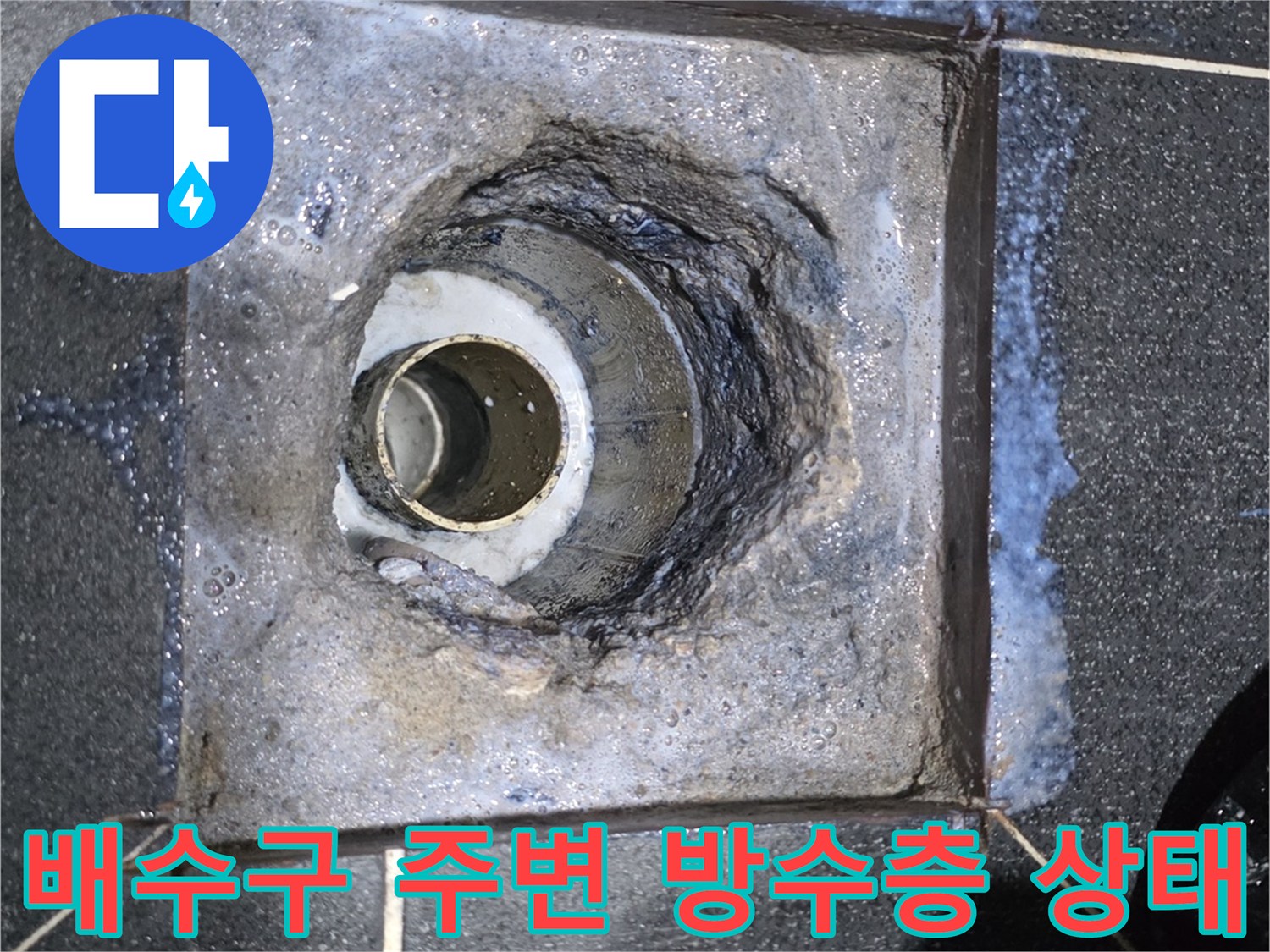 노원구 월계동 현장의 - 화장실 배수구 유가 주변 파손된 방수층 모습